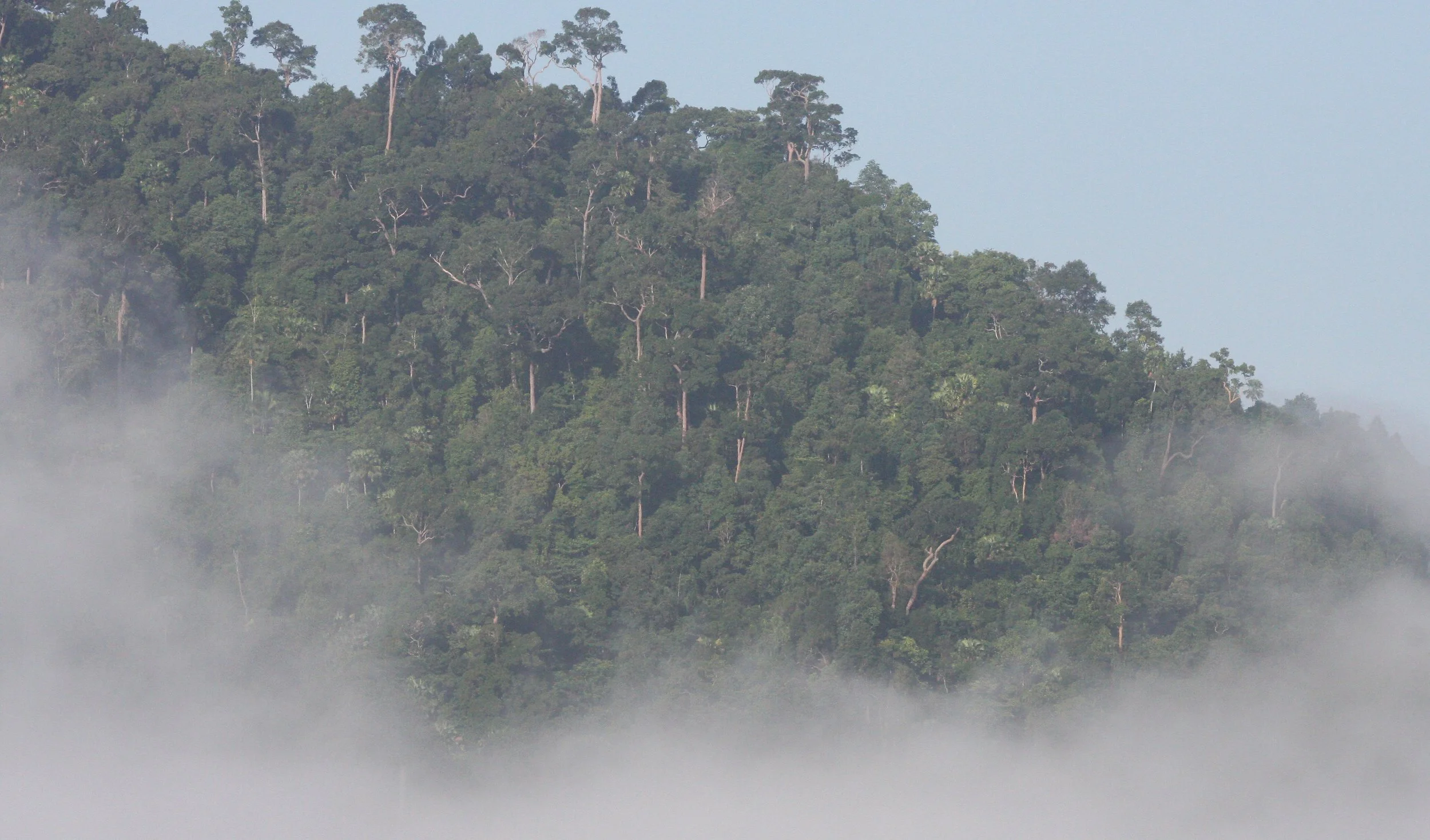 KRUNG CHIN NP - THALE MOG VIEW POINT THAILAND (9).JPG