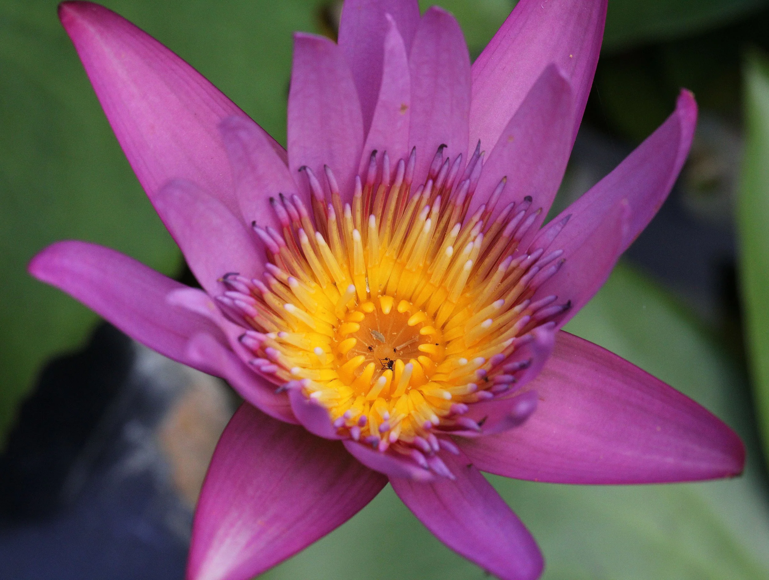 2013 Cha'am and Petchaburi with Family & Friends (121).JPG