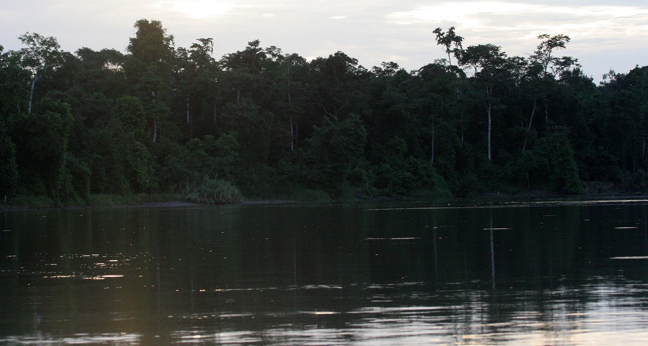 KINABATANGAN RIVER BORNEO - SUNSET SPECTACULAR (5).JPG
