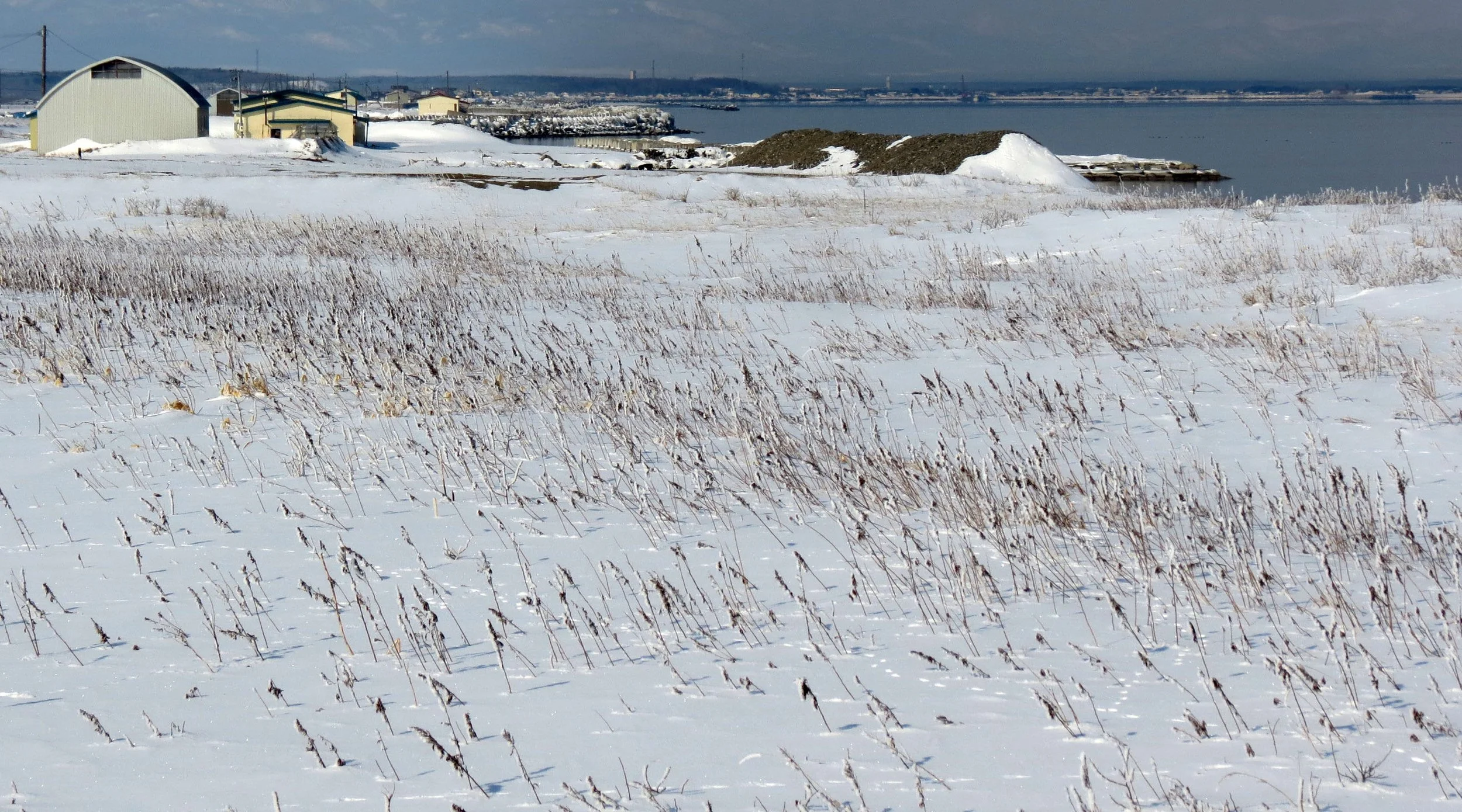 NOTSUKE PENINSULA - HOKKAIDO JAPAN (2).JPG