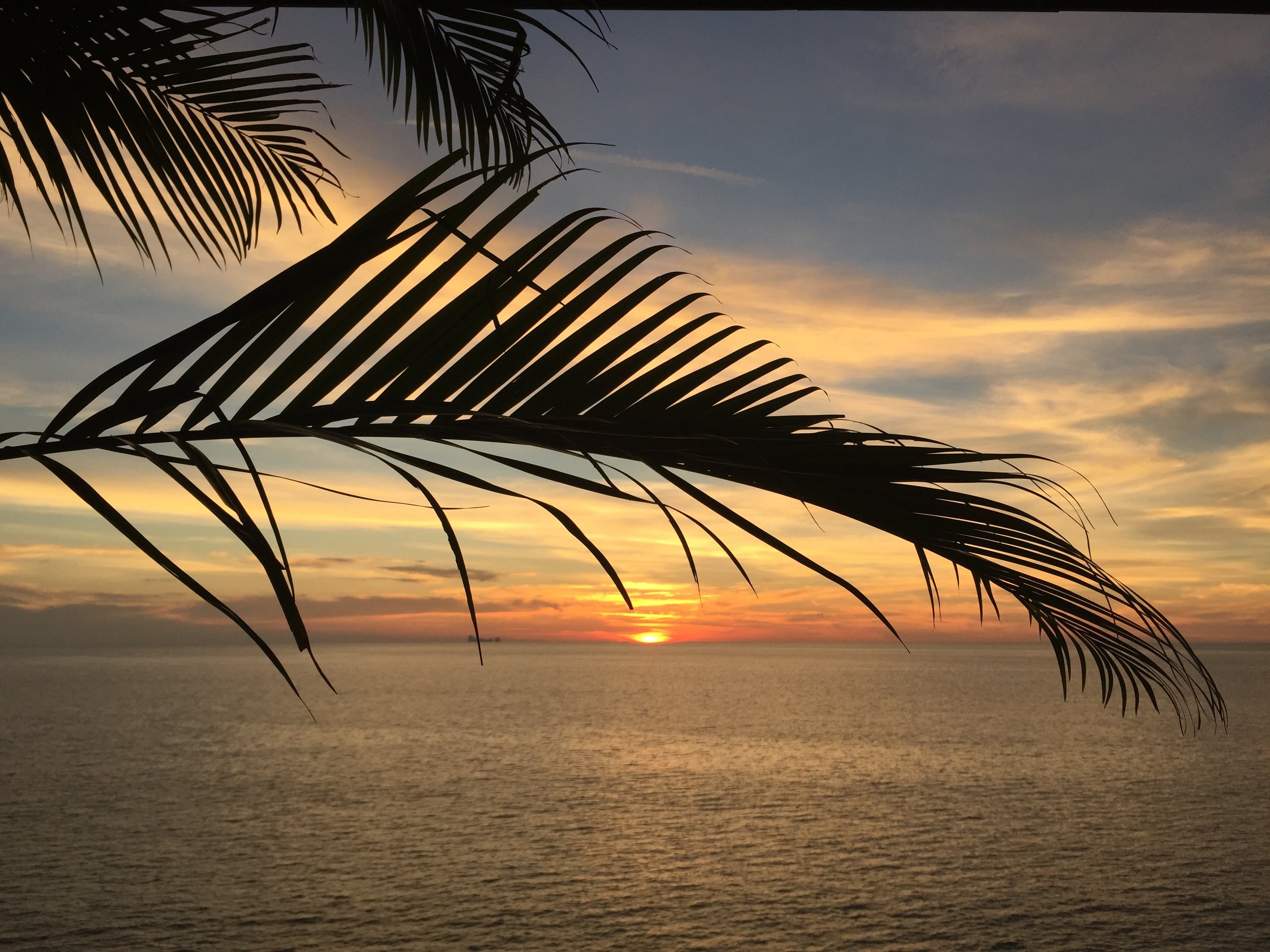 2015 Koh Lanta Garden & Nature (257).JPG