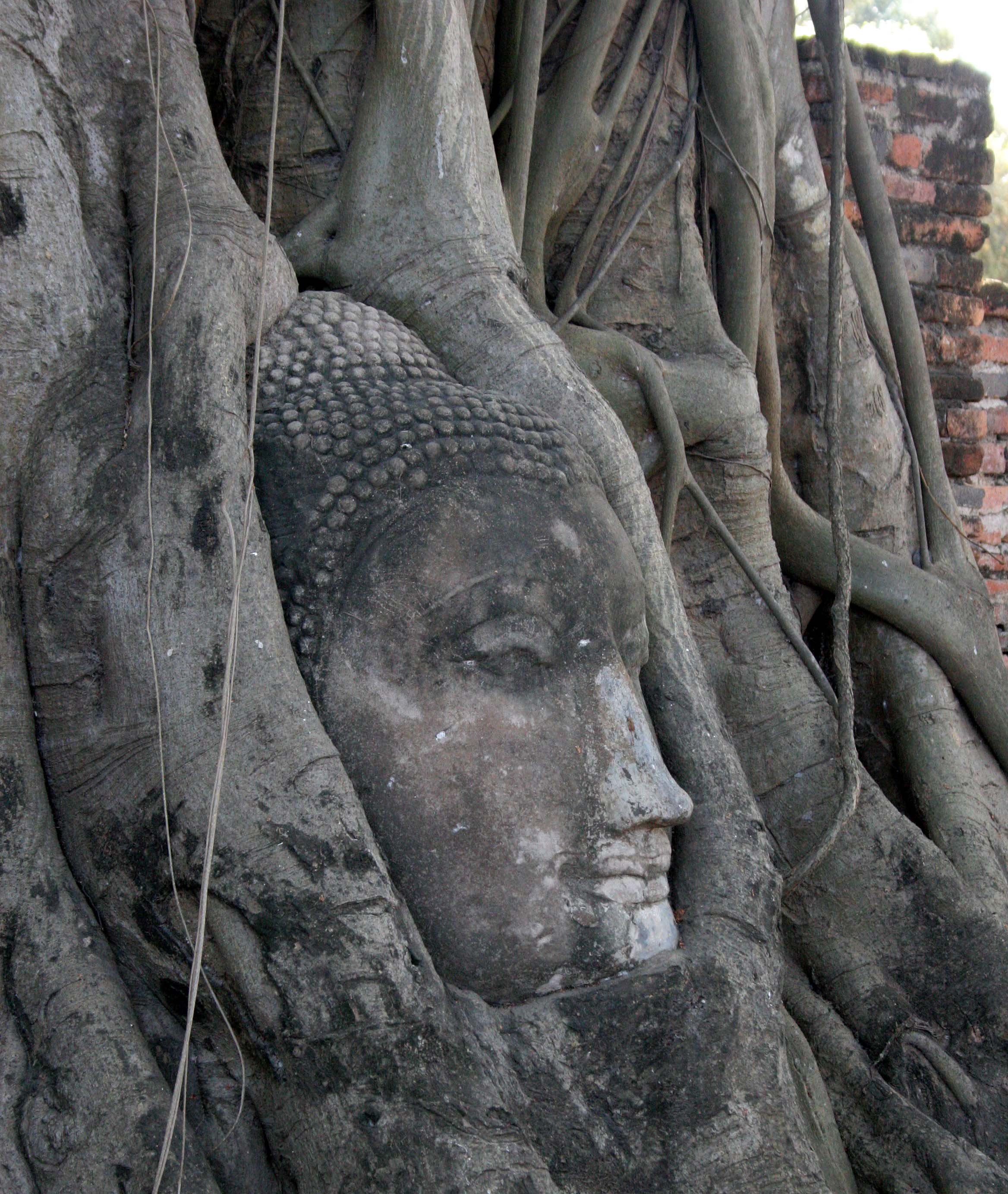 AYUDTHAYA - CHRISTMAS TRIP 2008 (20).JPG