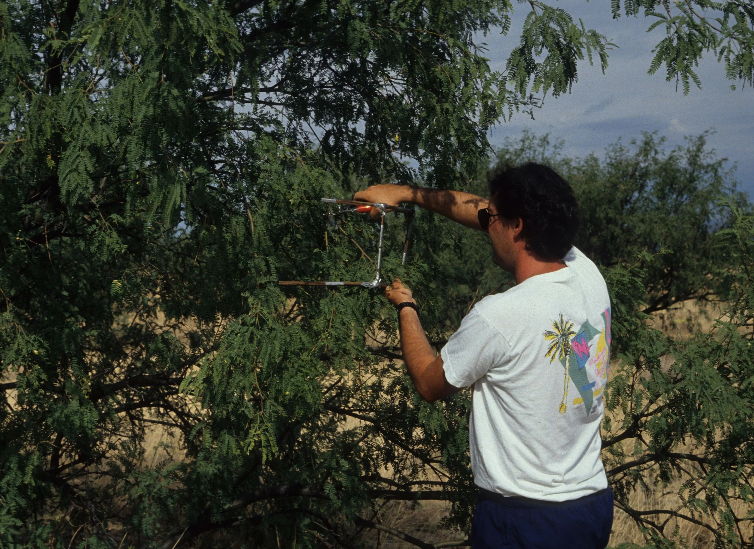 ARIZONA - MADERA CANYON - RESEARCH - DATA COLLECTION O.jpg
