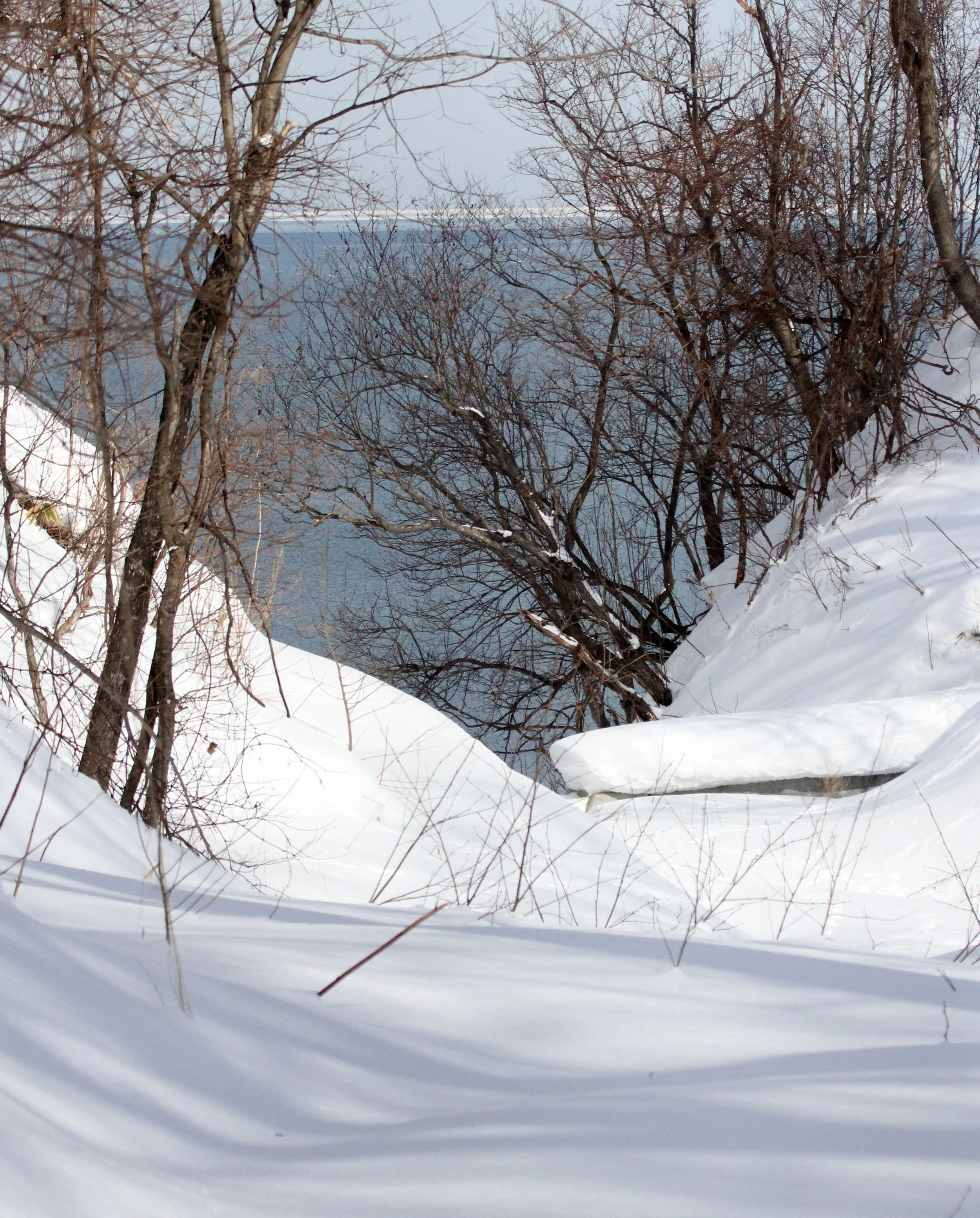 KINOHIROBA PARK - ABASHIRI - HOKKAIDO JAPAN (37).JPG