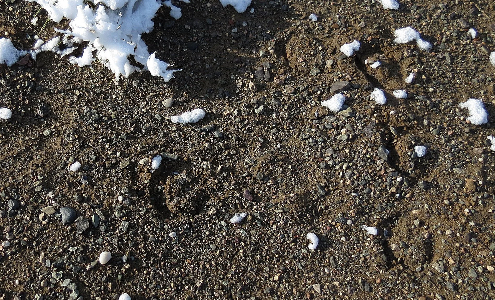 KARAMORI NATIONAL NATURE RESERVE - XINJIANG CHINA (84).JPG