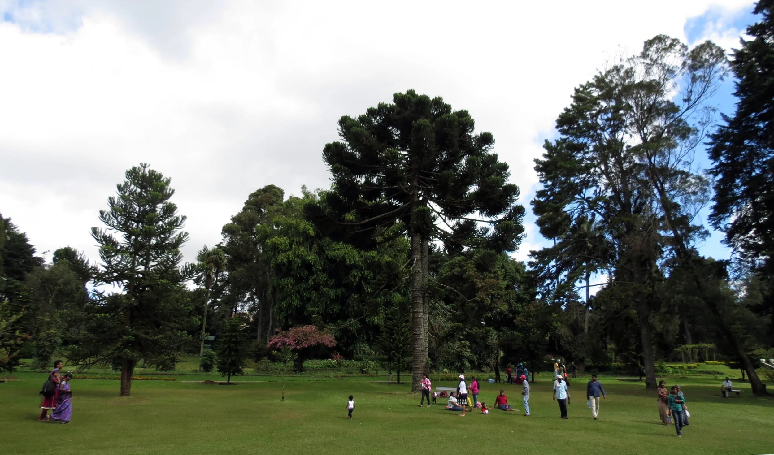 NUWARA ELIYA SRI LANKA - COKIE (2).JPG