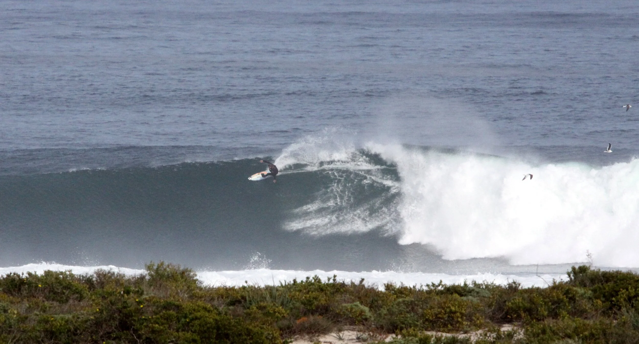 LAMBERT'S BAY SOUTH AFRICA - SURF'S UP! (11).JPG