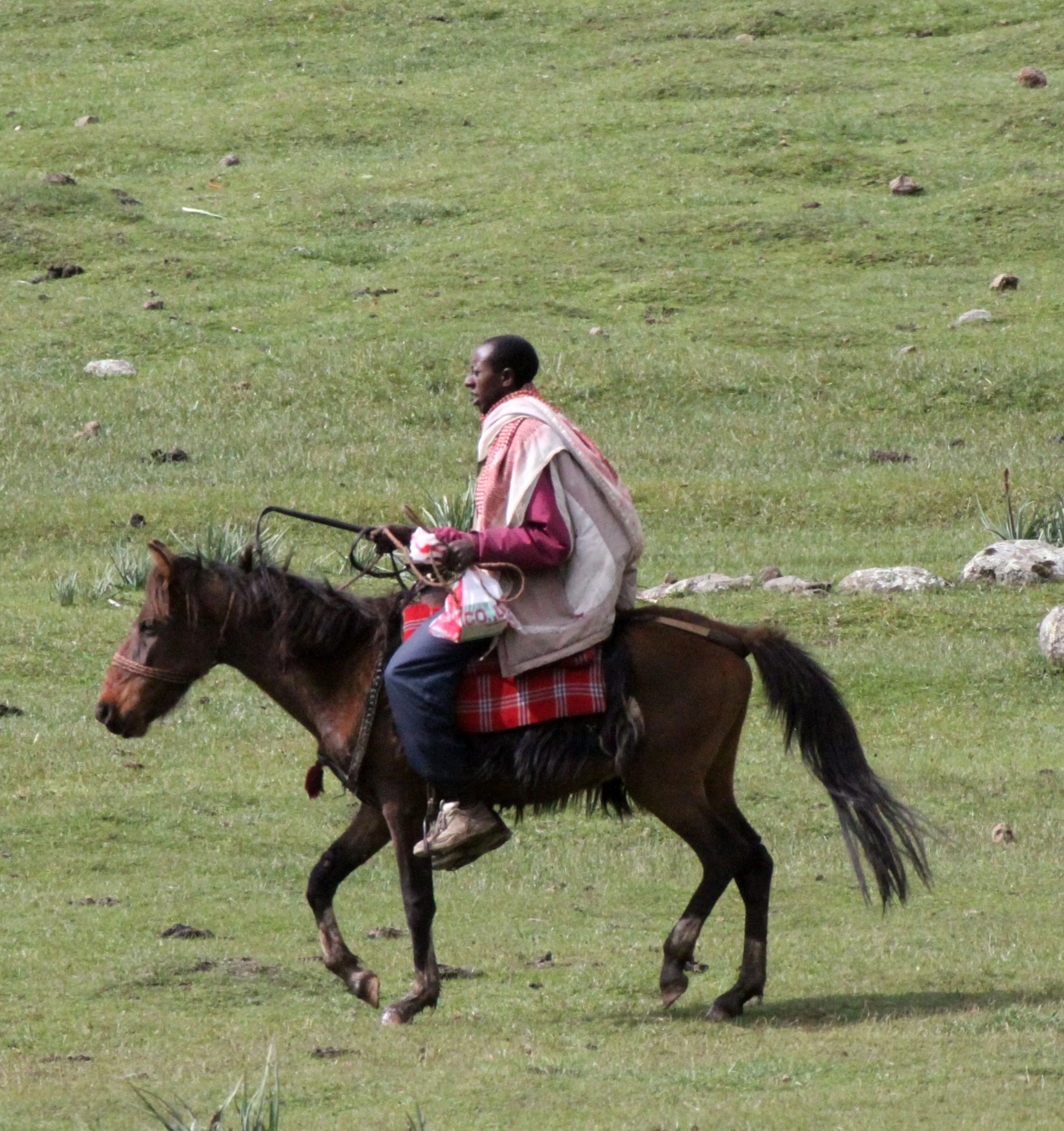 BALE MOUNTAINS NATIONAL PARK ETHIOPIA - GAYSAY GRASSLANDS (6).JPG