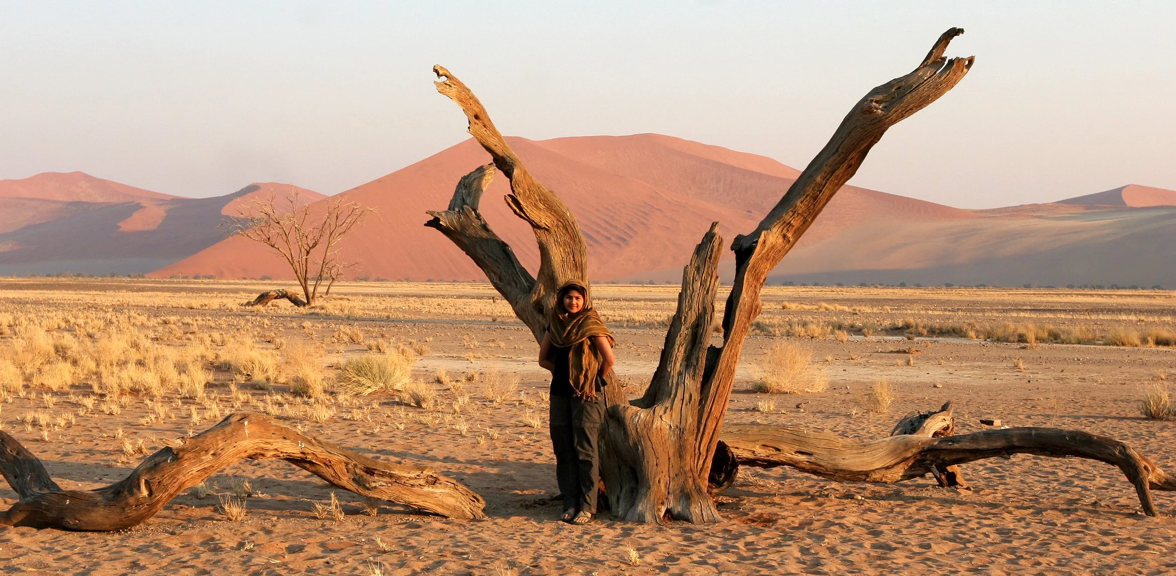 NAMIBIA - SOSSUSVLEI - DUNES - NAMIBIA (22).JPG