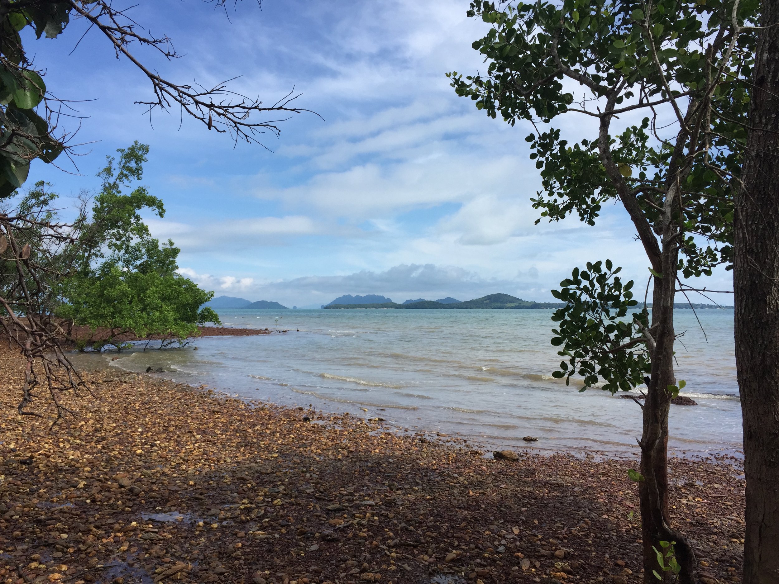 2016 Koh Lanta TheOtherSideVillas - Nature at our Home (116).JPG