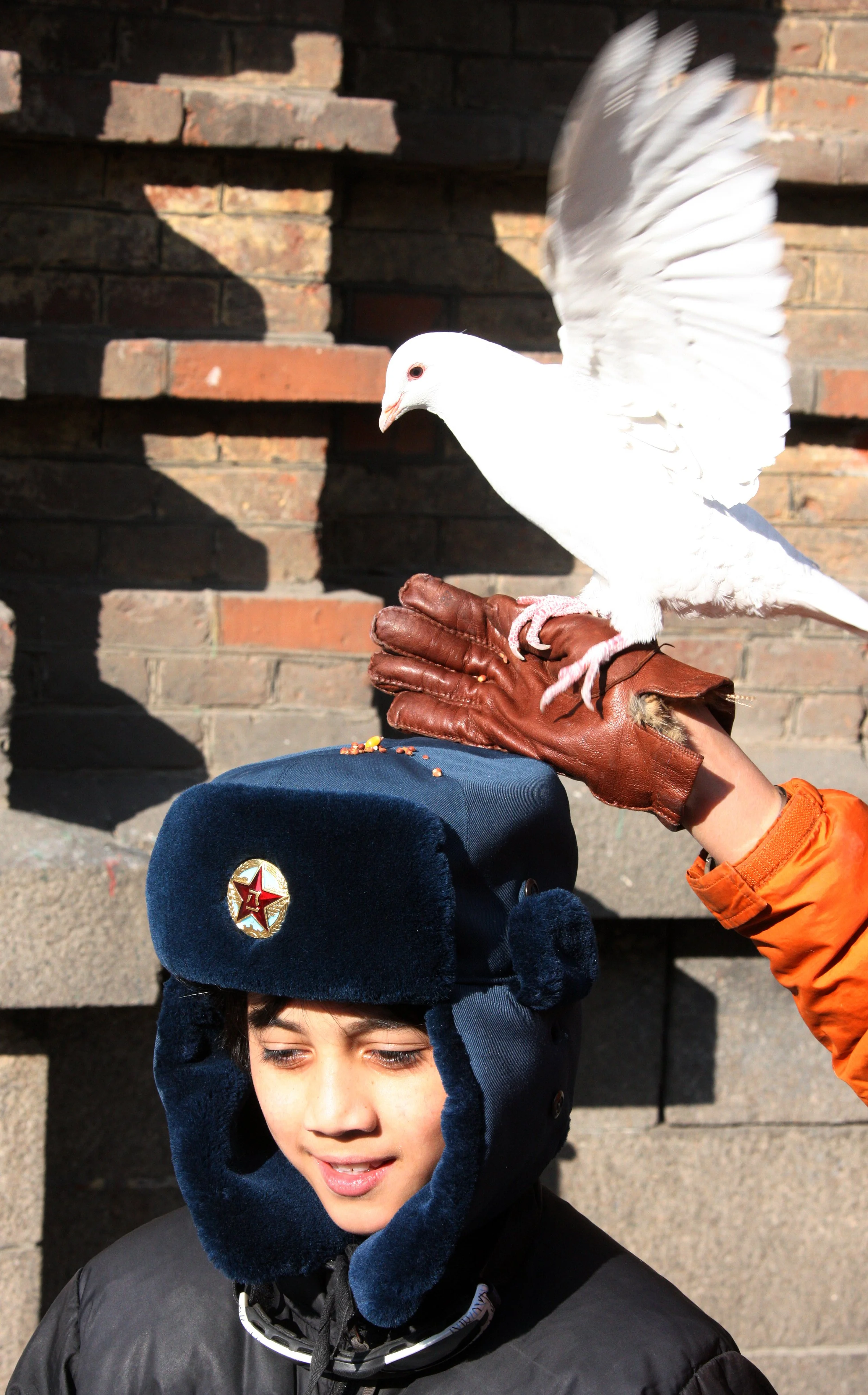 BIRD - PIGEON - HARBIN SAINT SOPHIA'S CATHEDRAL CHINA (67).JPG