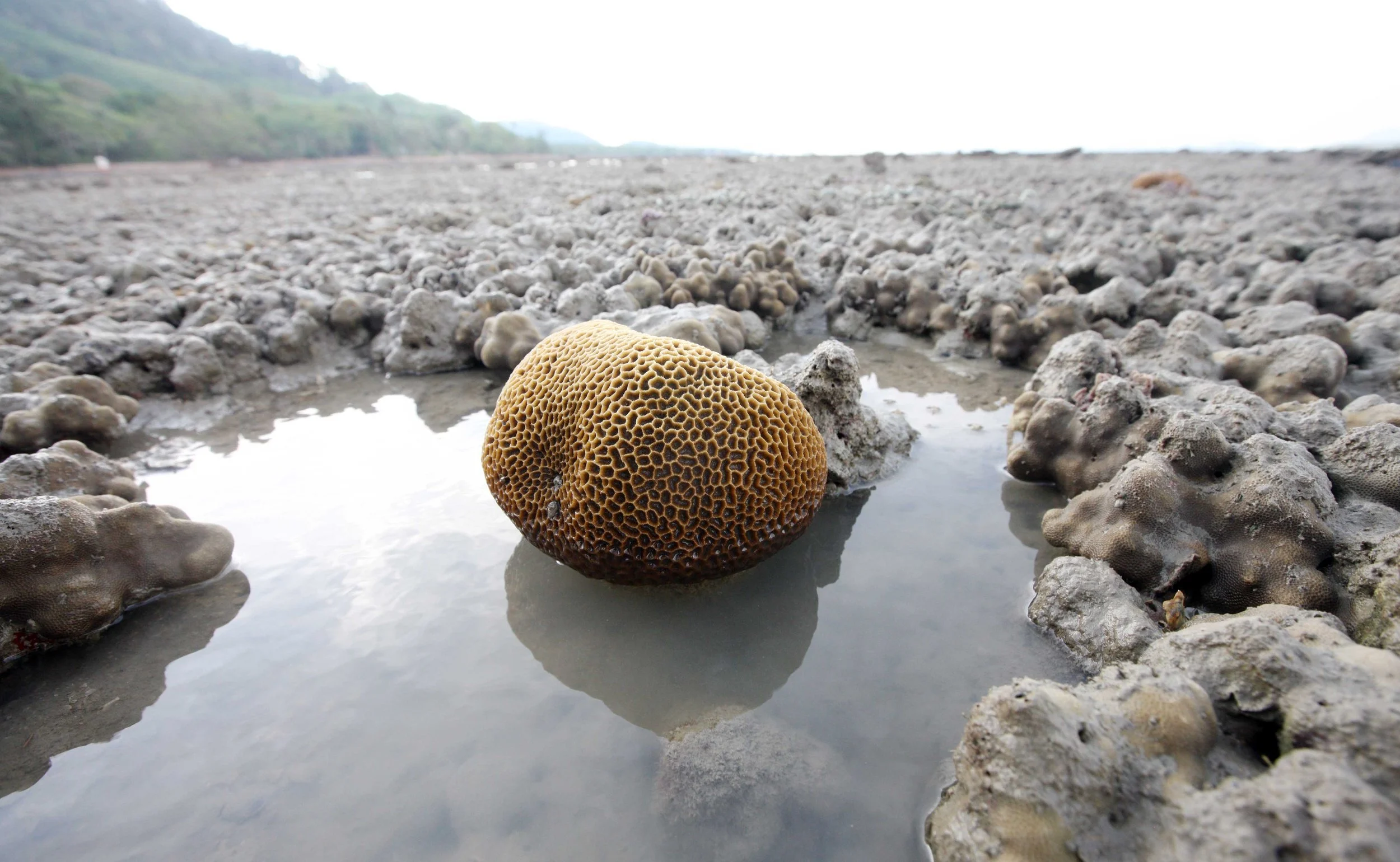 2015 Koh Lanta Songkran with friends from ISB (244).JPG