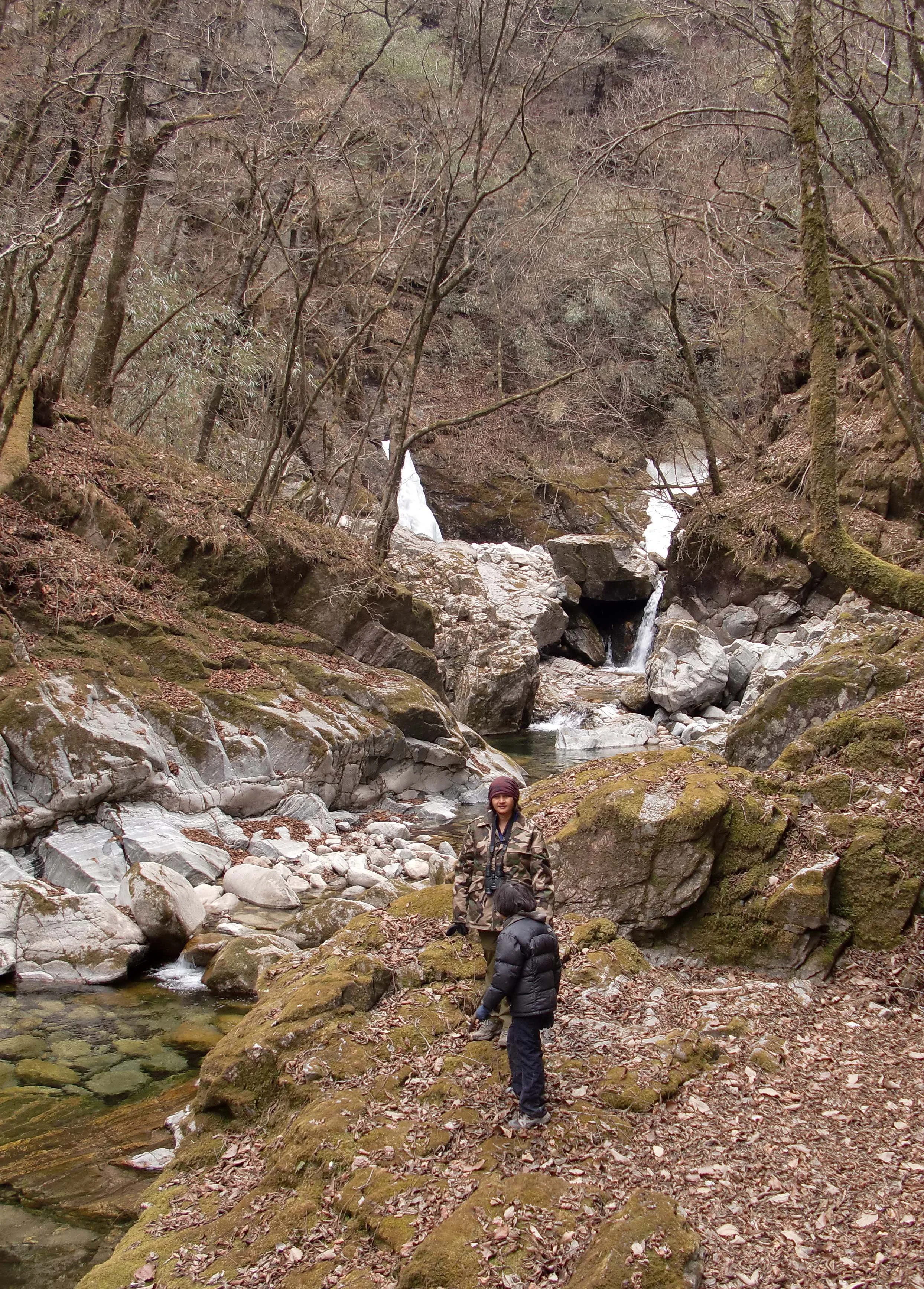 FOPING NATURE RESERVE - SHAANXI PROVINCE CHINA (69).JPG