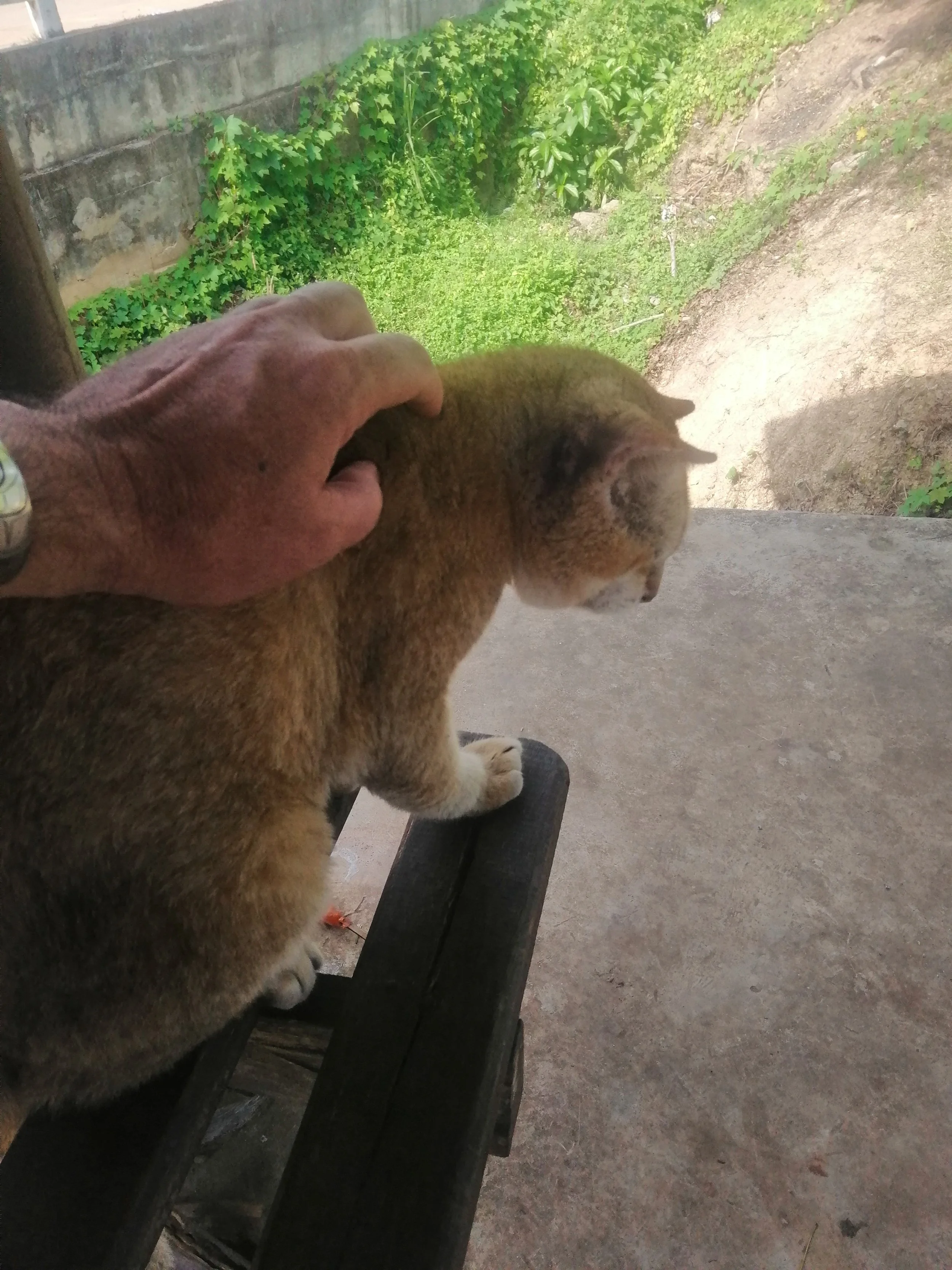 2018 Koh Lanta Misc  (198).jpg