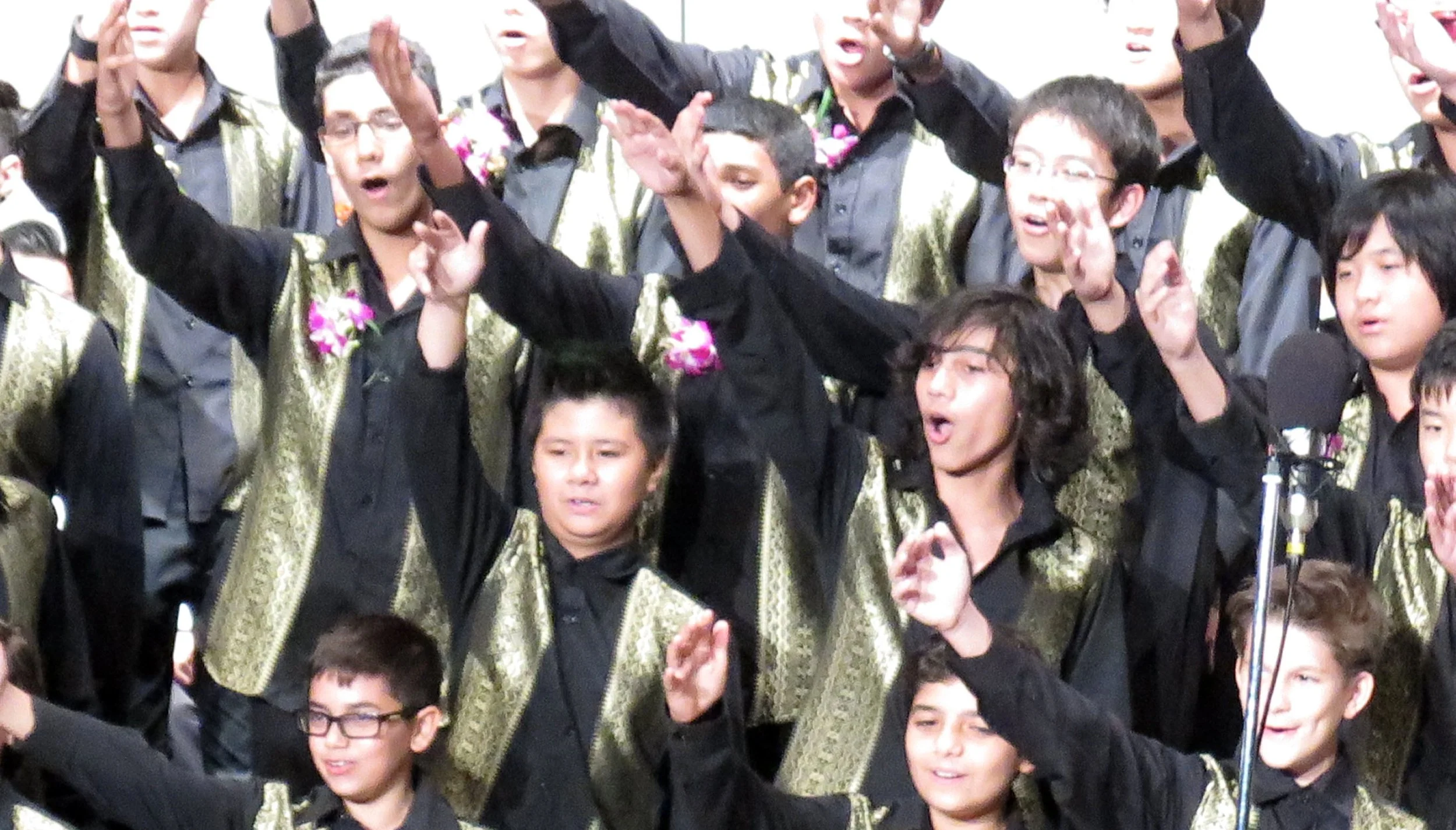 2015 Spring Concert for Cokie at ISB (1).JPG