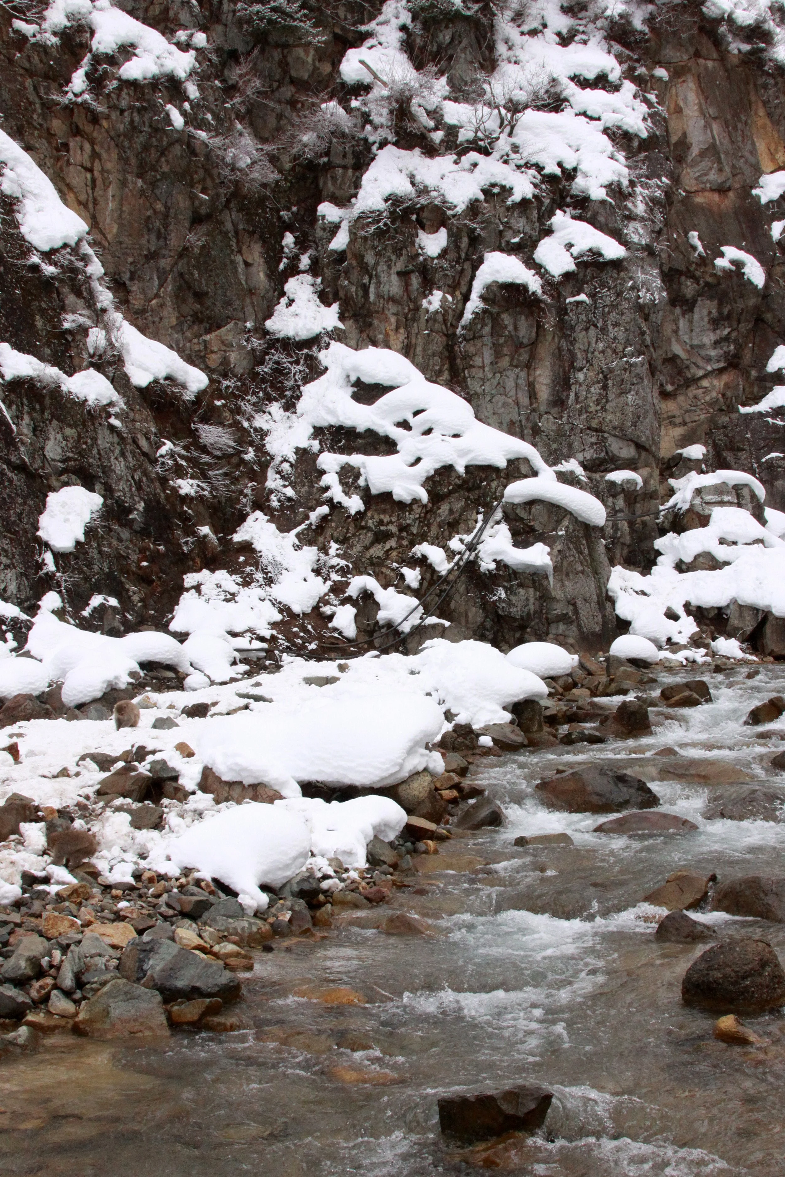 JIGOKUDANI ONSEN - NAGANO PREFECTURE JAPAN - FOREST SCENCES (42).JPG