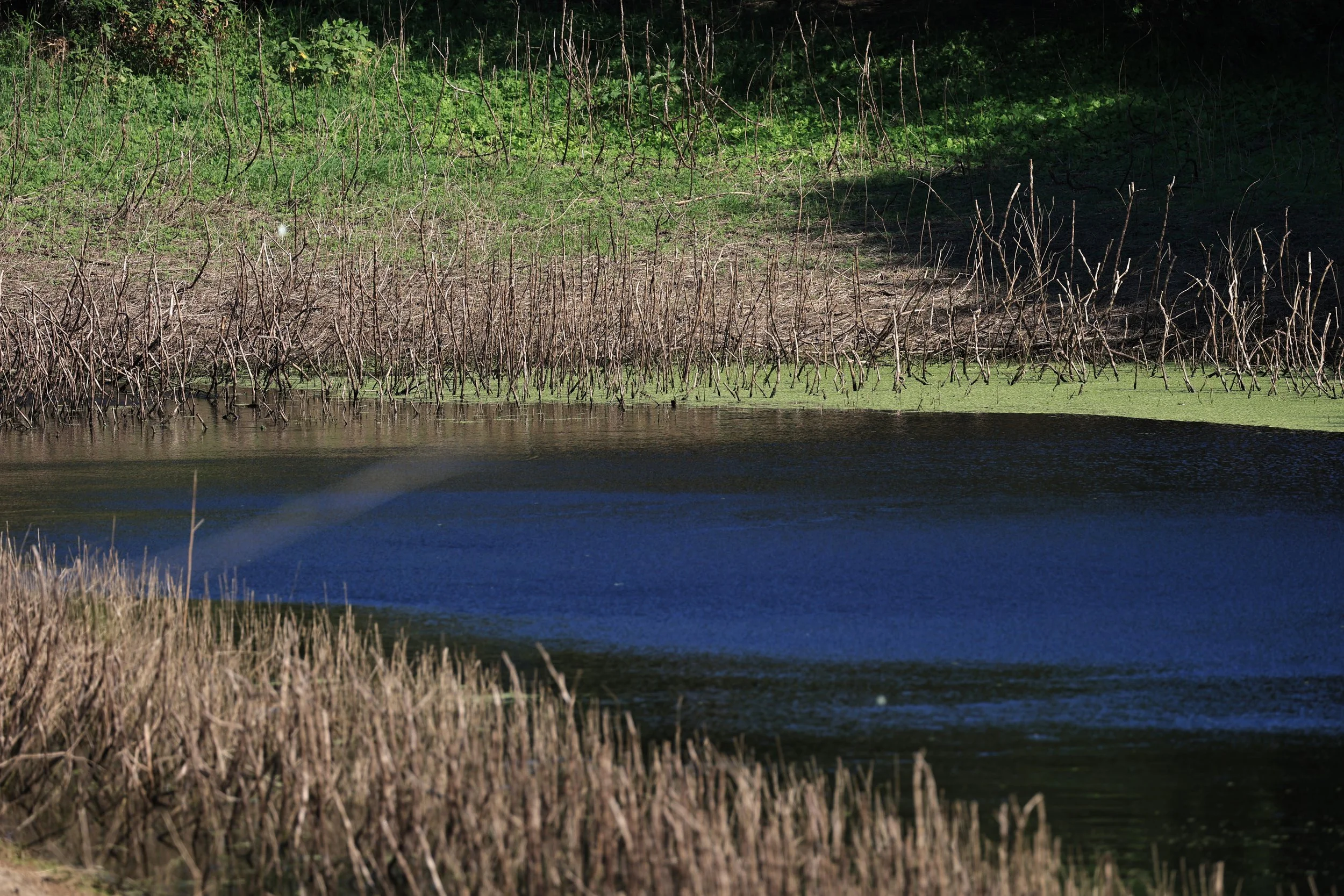 Agua Dulce Paraguay (67).jpg
