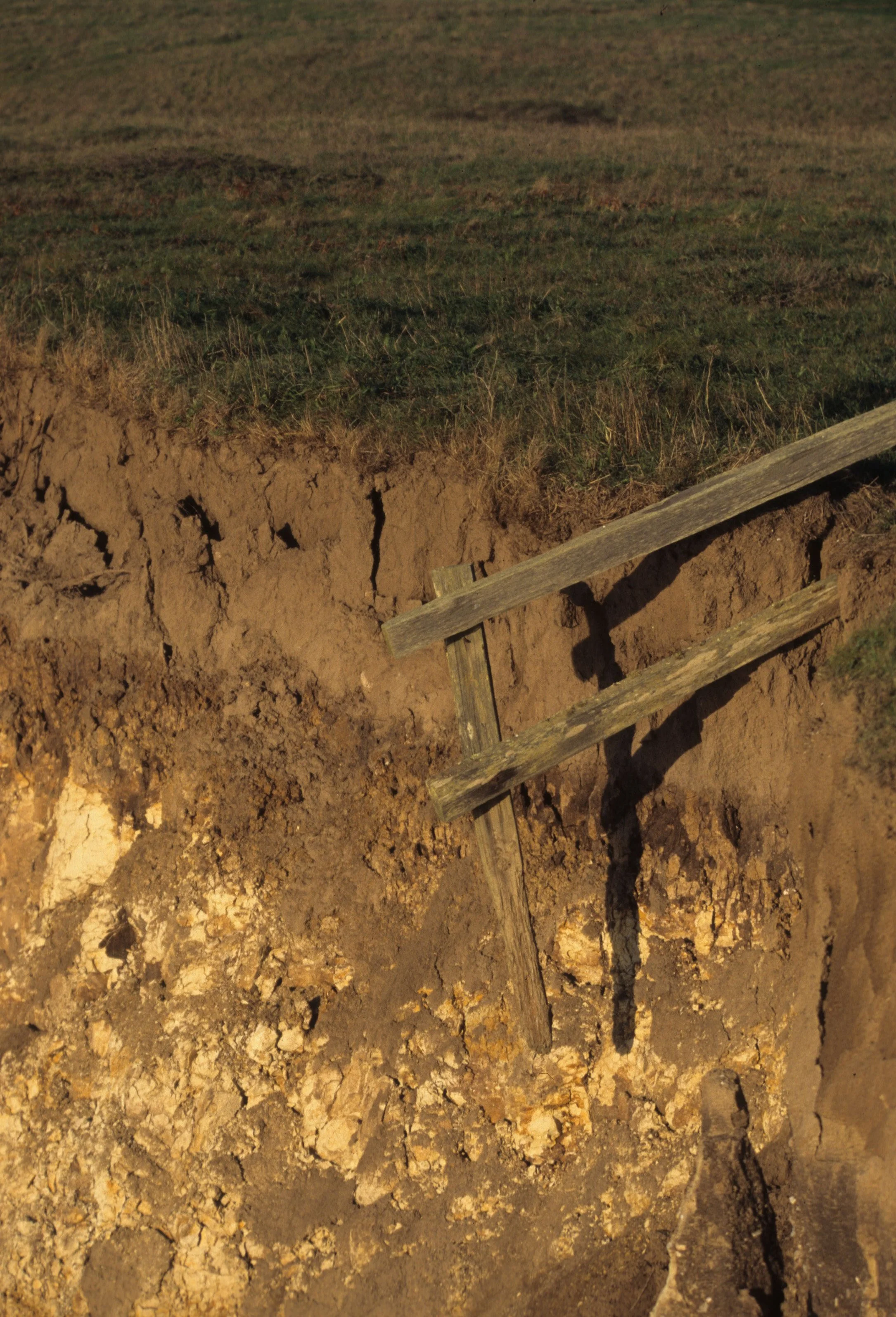 CALIFORNIA - POINT REYES - EROSION.jpg