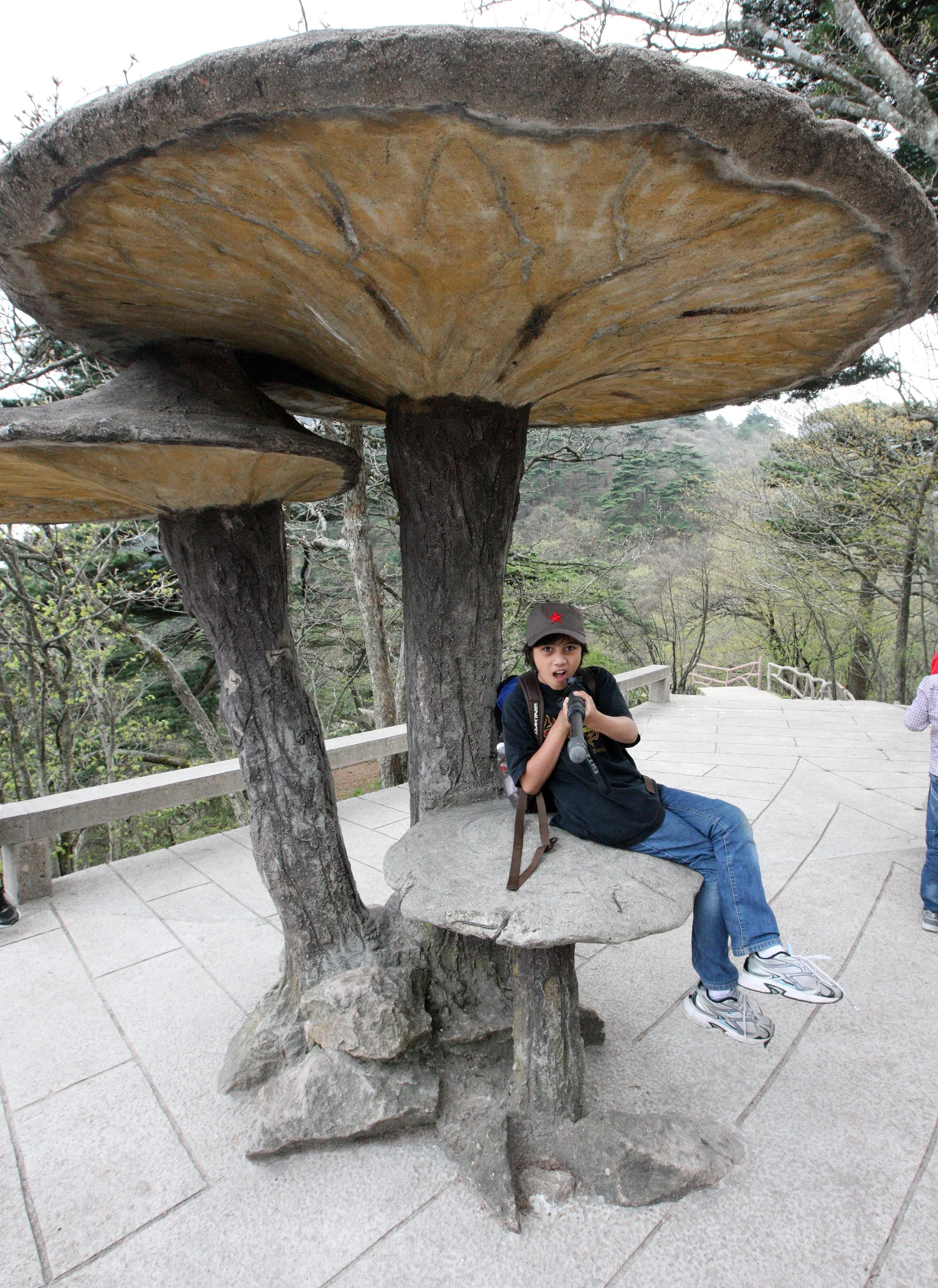 HUANGSHAN NATIONAL PARK ANHUI PROVINCE CHINA (71).JPG