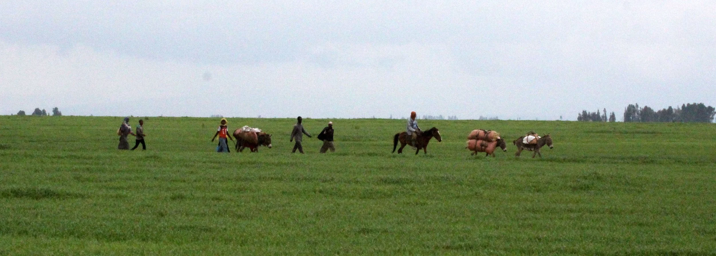 AWASH ETHIOPIA (2).JPG