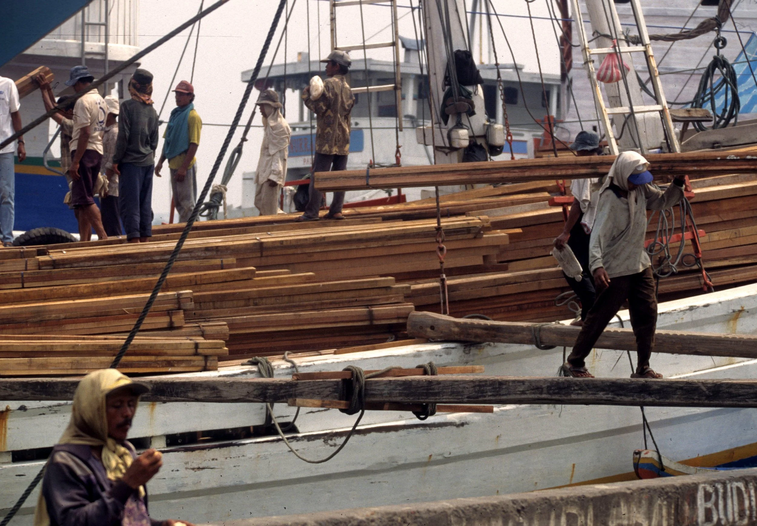 JAVA - TROPICAL HARDWOODS ON DOCKS B.jpg