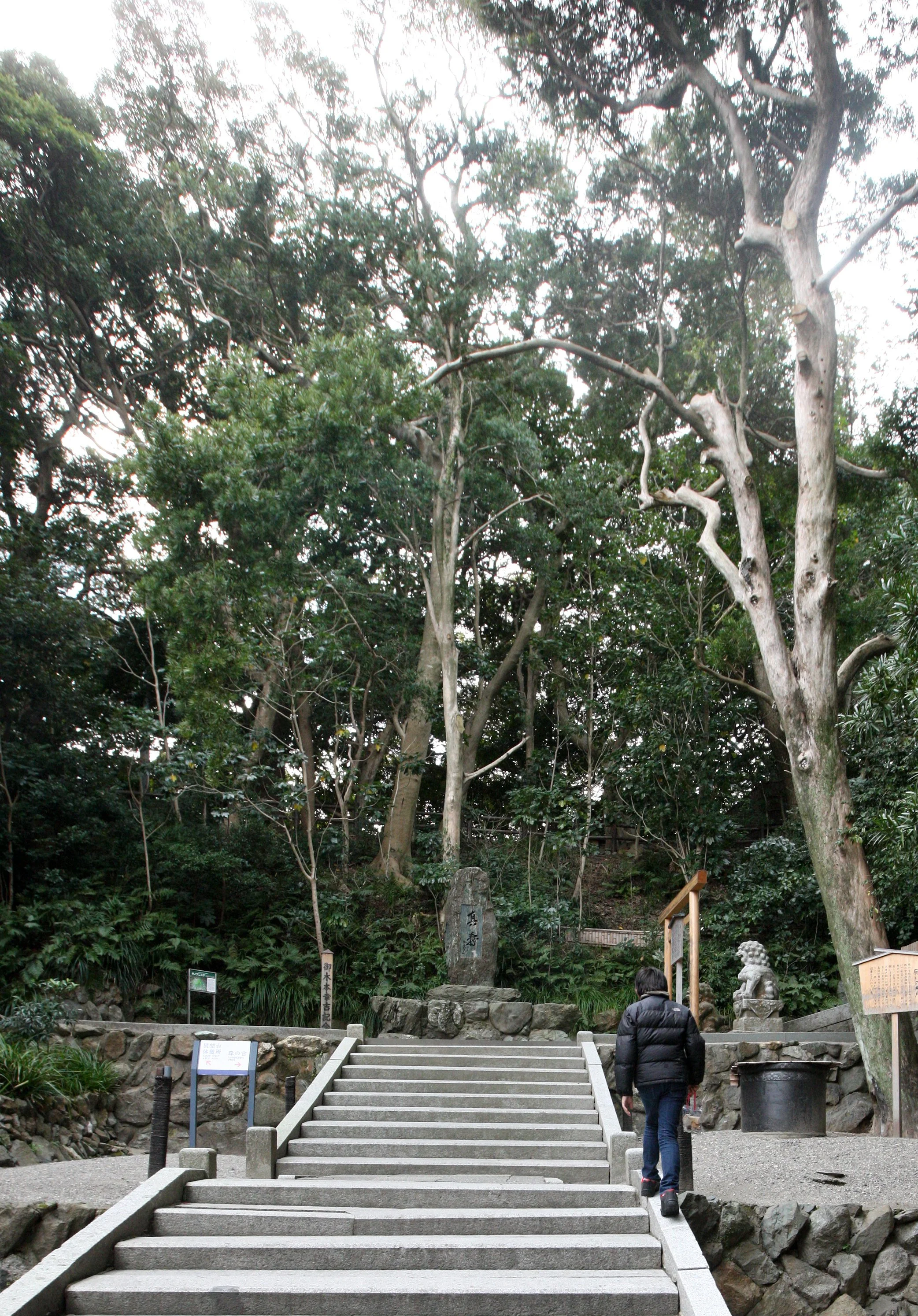 MIKIMOTO PEARL ISLAND AND MUSEUM - TOBA JAPAN (38).JPG