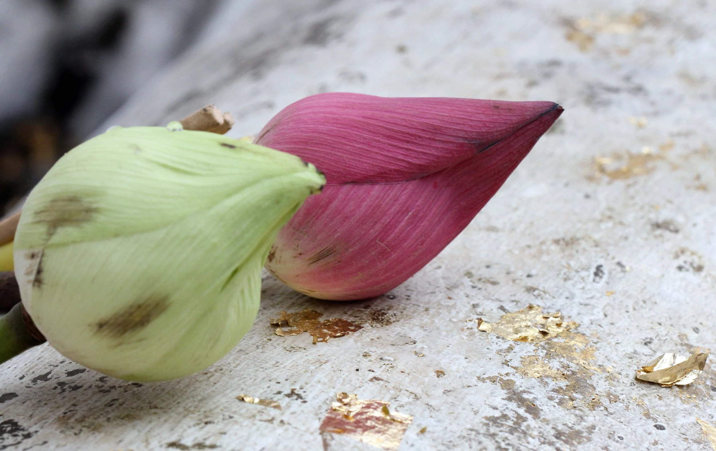 2013 Ayutthaya ISB Passion Day (100).JPG