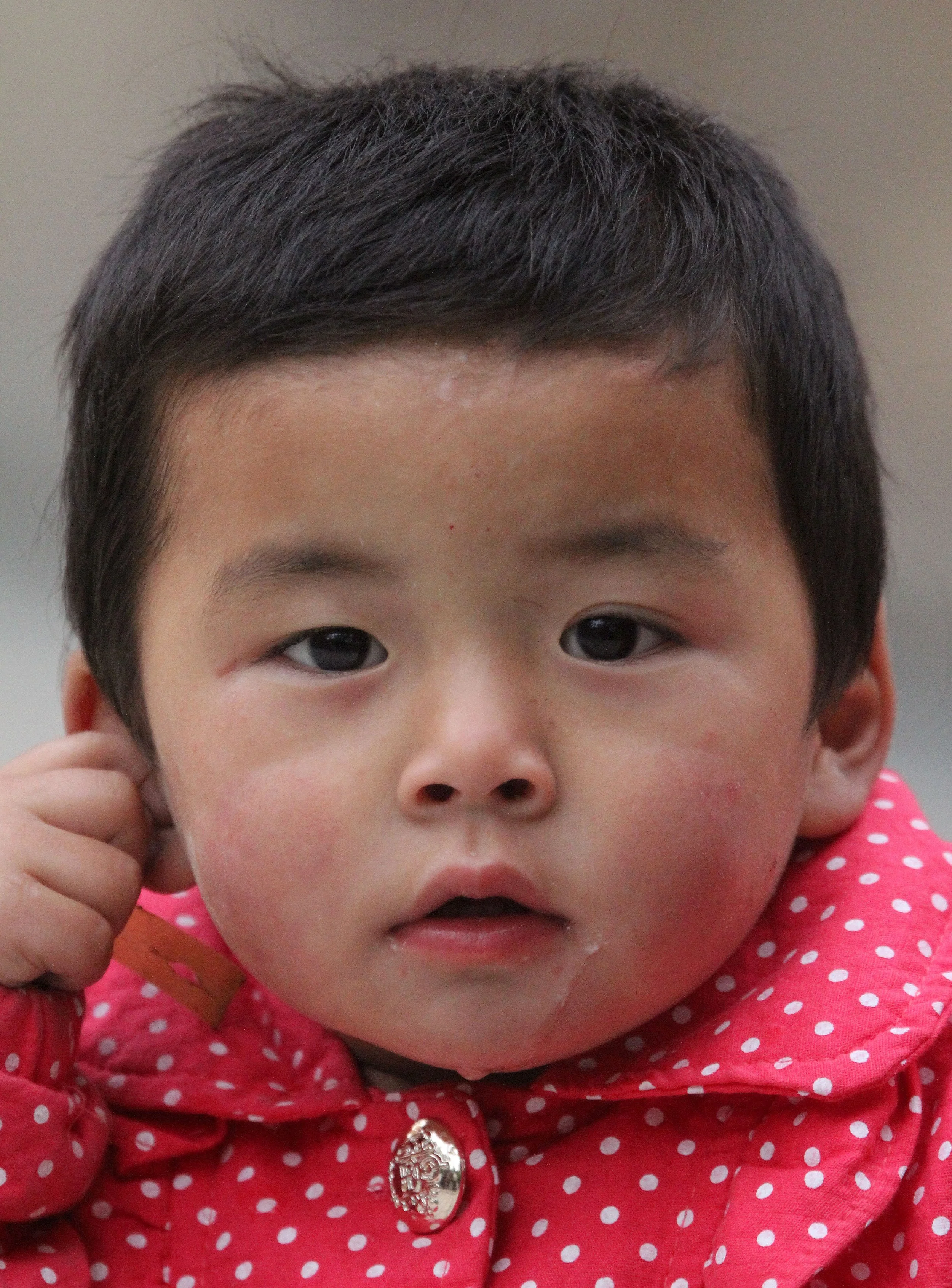 KUMBUM MONASTERY - QINGHAI - SUNNING BUDDHA FESTIVAL 2013 (22).JPG