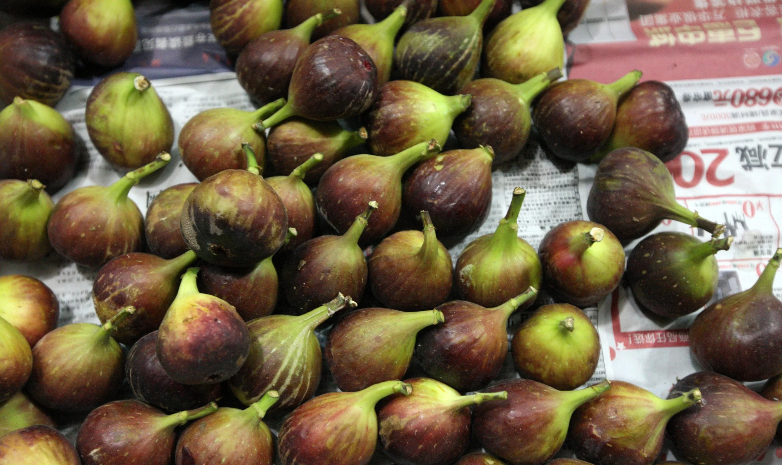 CRACK PASTA WITH JASON (104).JPG