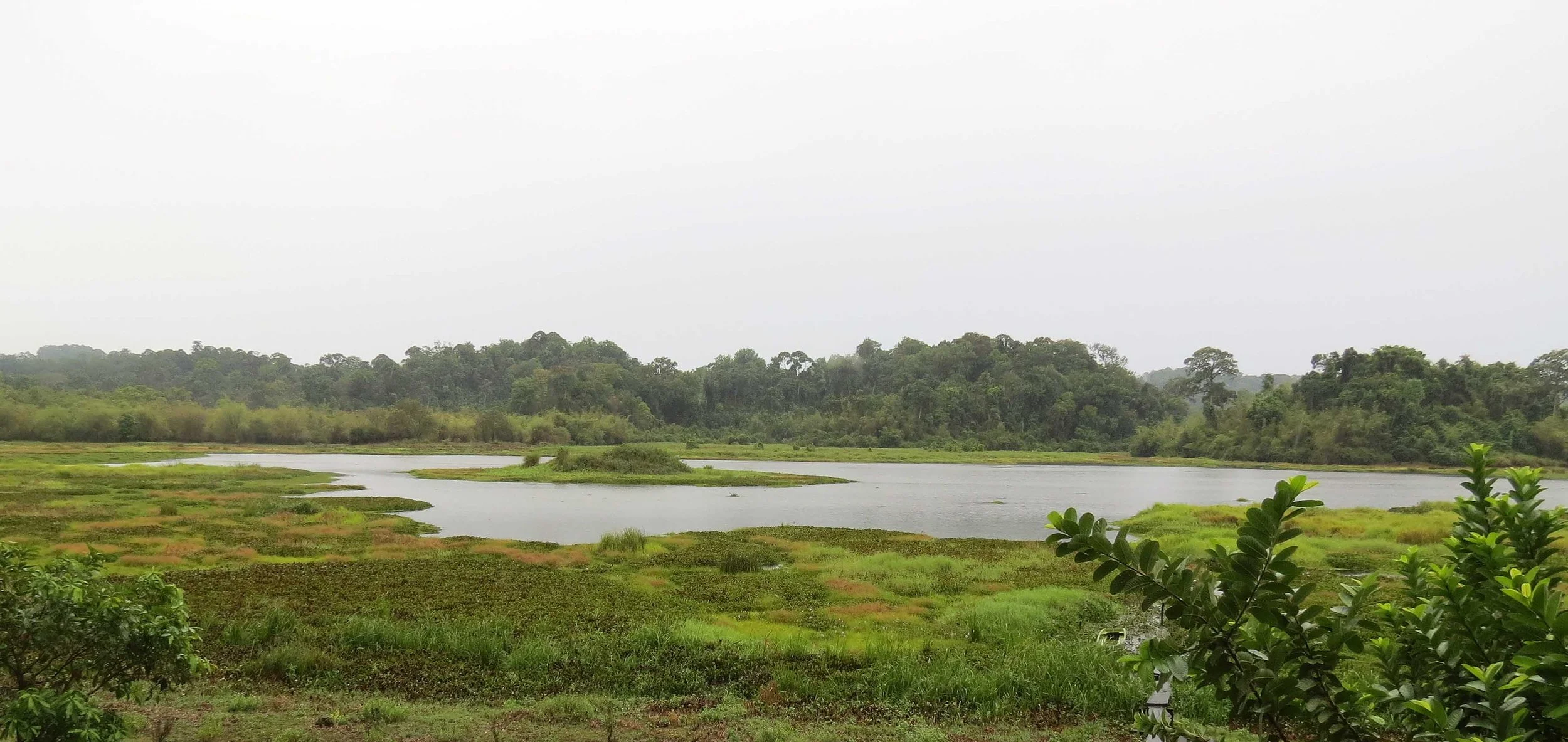 CAT TIEN NATIONAL PARK VIET NAM (109).JPG