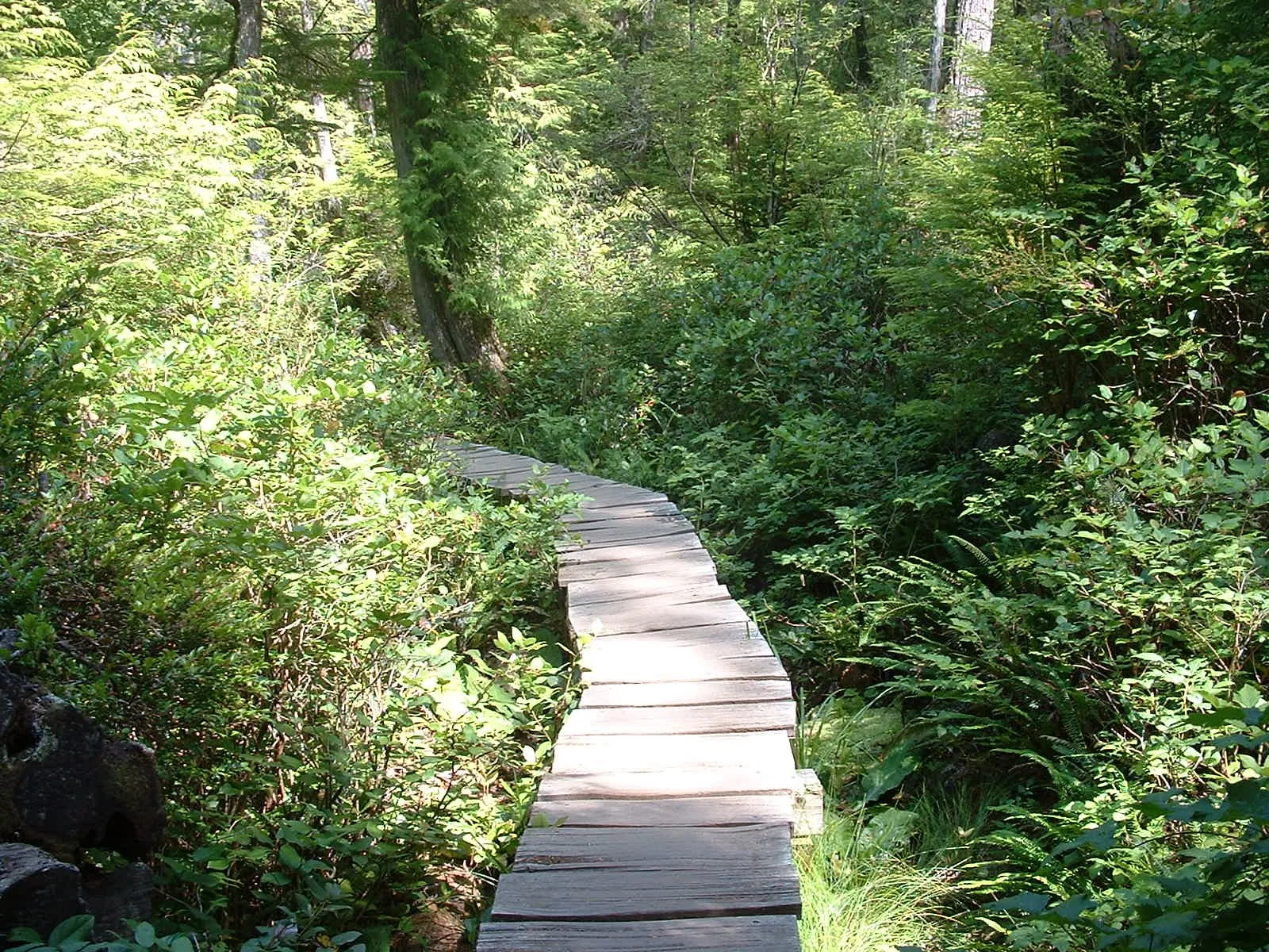 2003-8-1 WASHINGTON VISIT FROM ROBINSONS ET AL (70).JPG