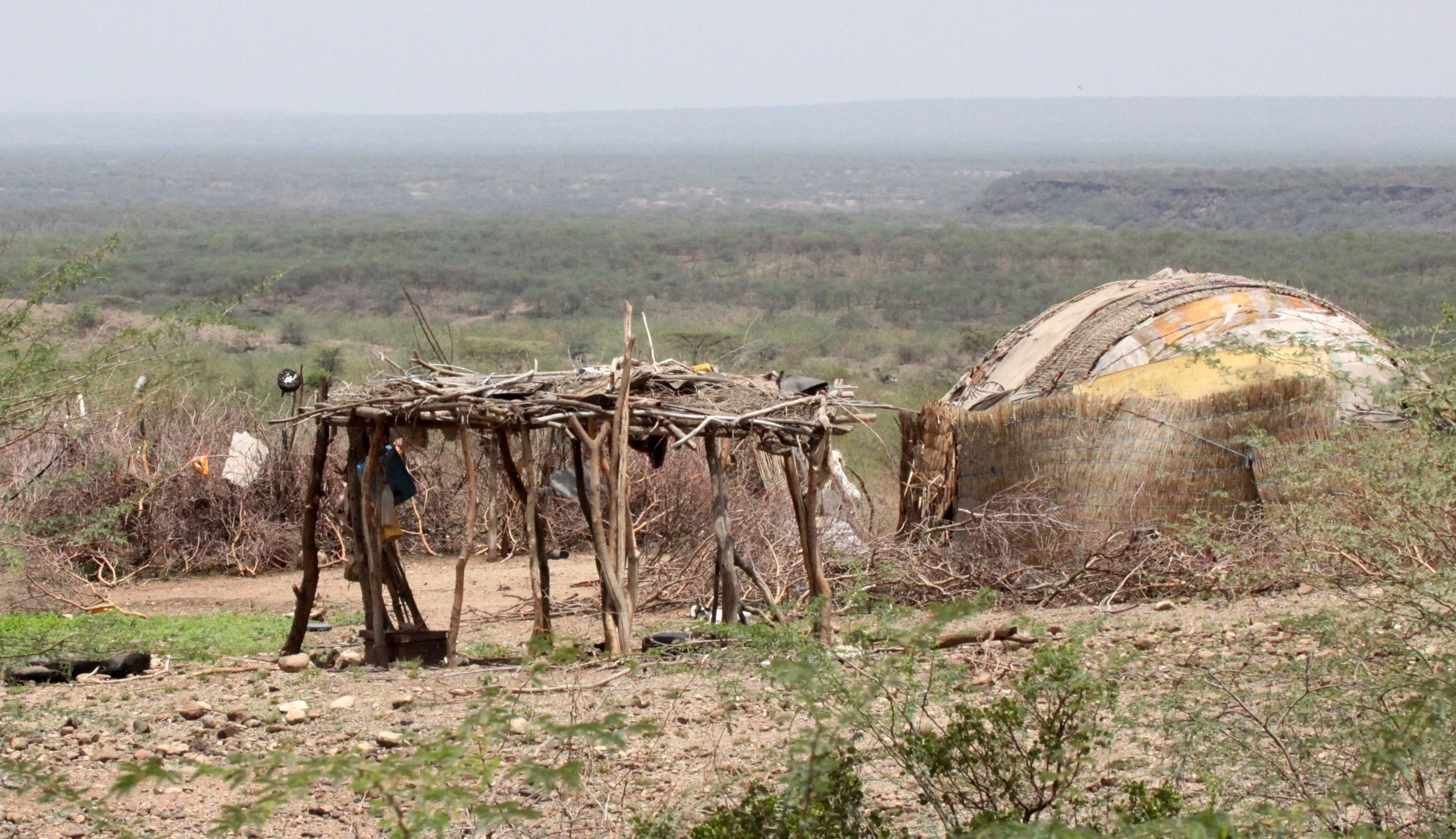 ALI DEGE PLAINS ETHIOPIA (18).JPG