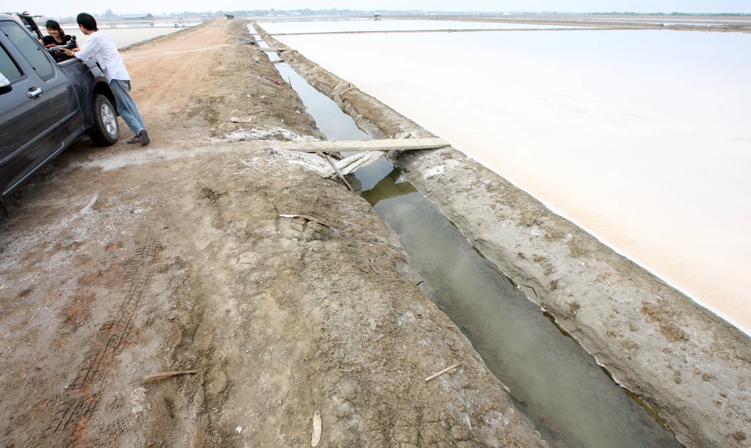 2011 Pak Thale Salt Ponds (1).JPG