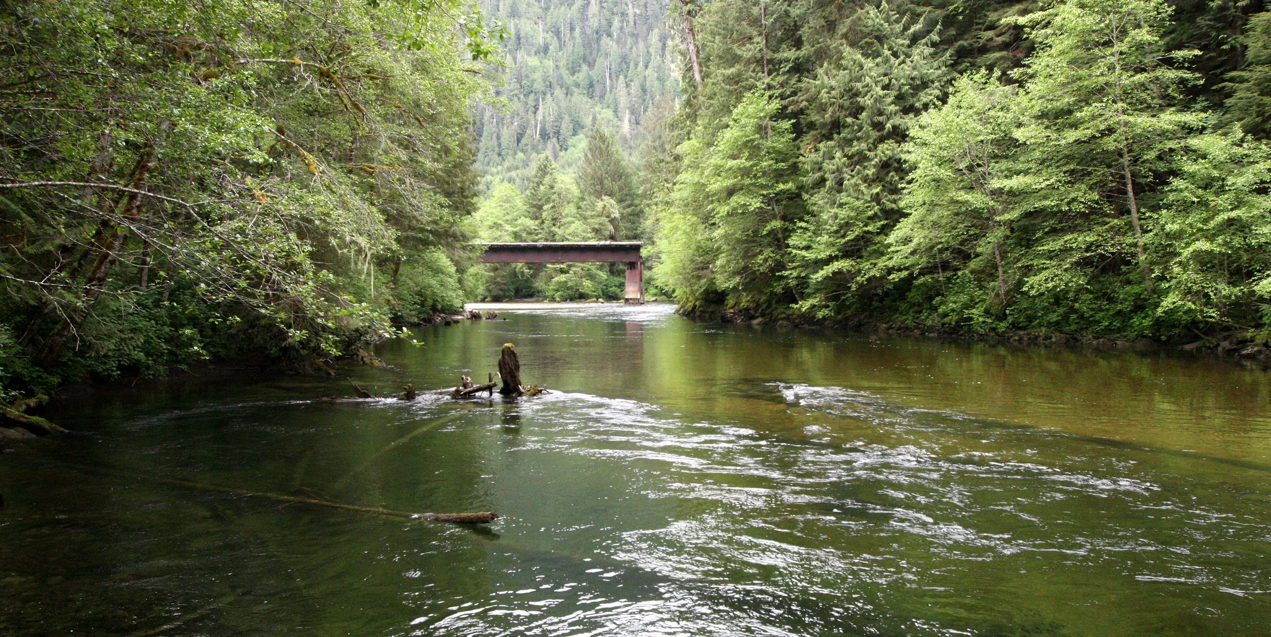 THOMPSON SOUND BC.JPG