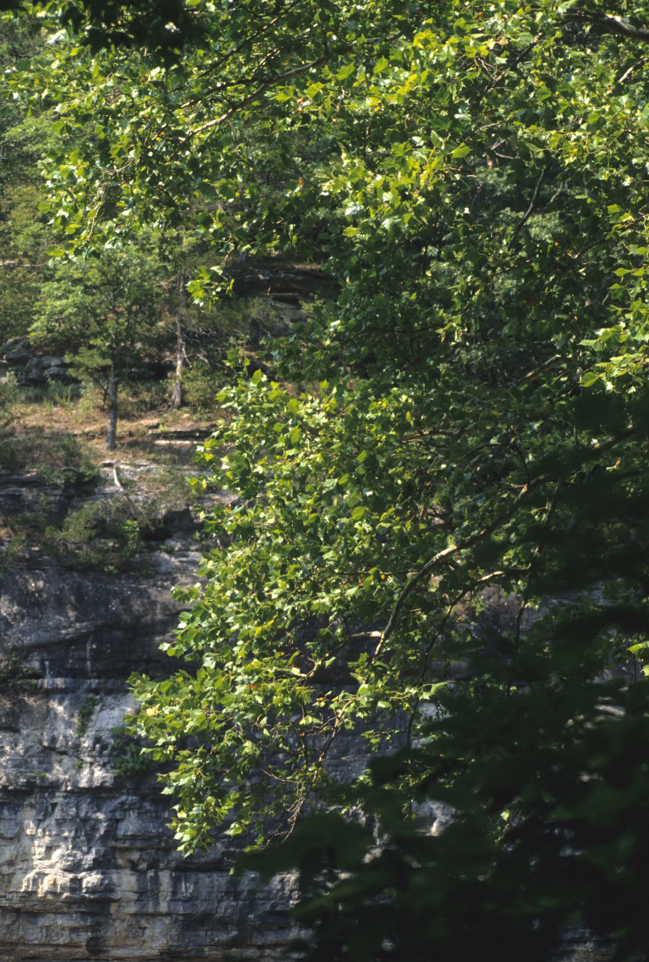 ARKANSAS - BUFFALO SPRINGS NM B.jpg