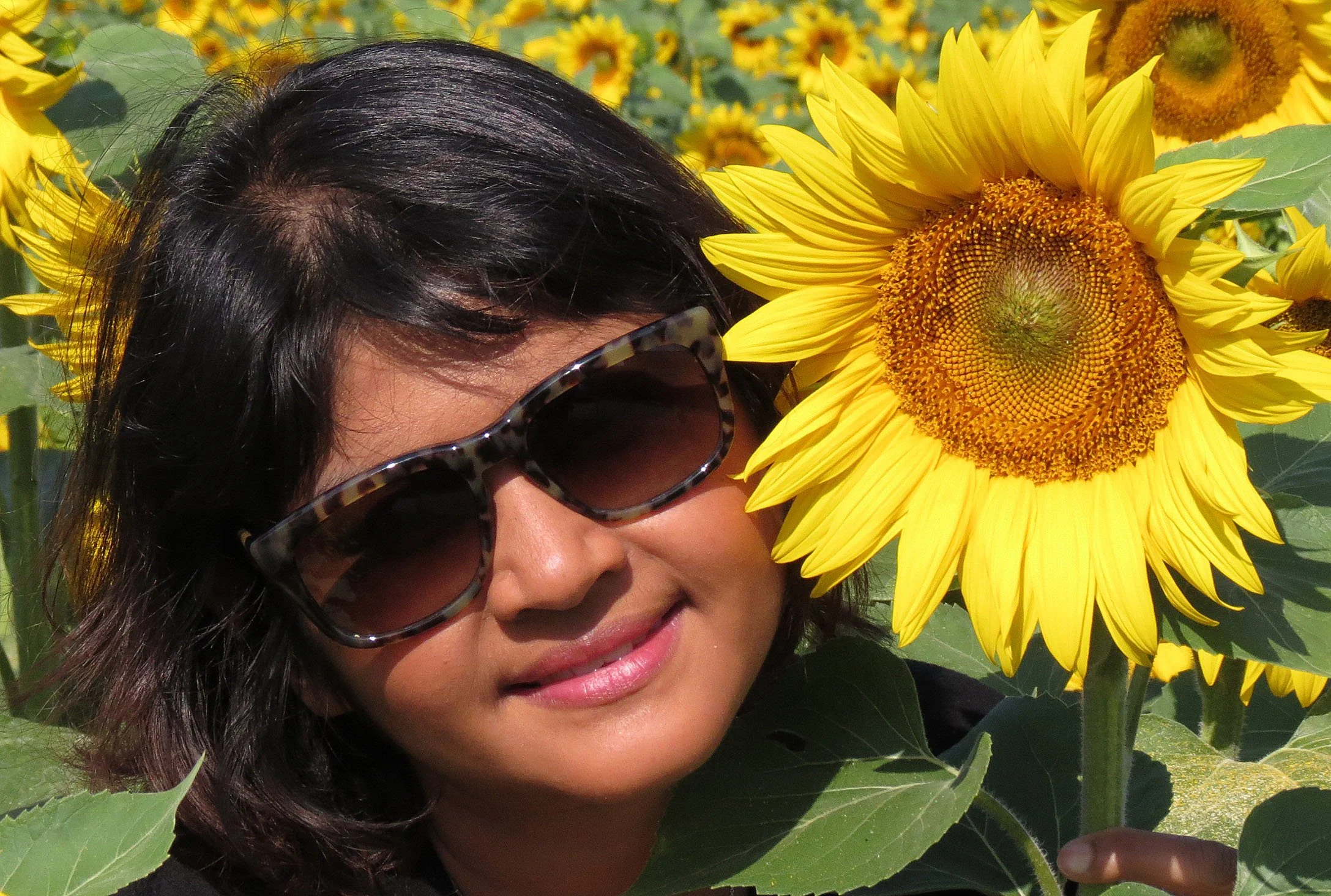 VERCOR NATIONAL PARK FRANCE (32).JPG