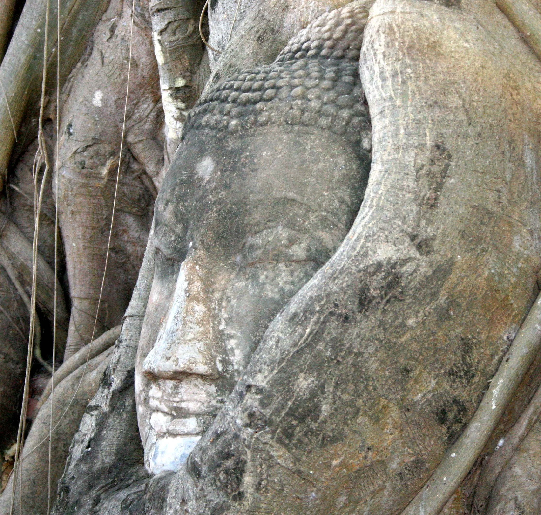 AYUDTHAYA - CHRISTMAS TRIP 2008 (26).JPG