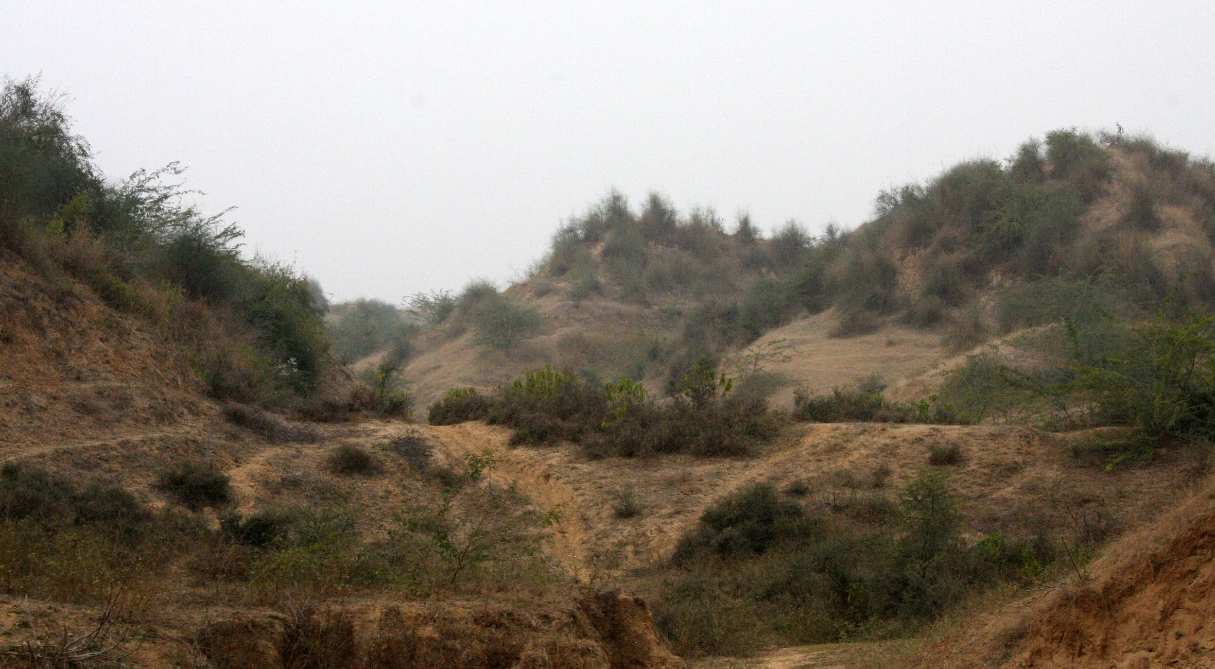 CHAMBAL RIVER SANCTUARY INDIA (8).JPG
