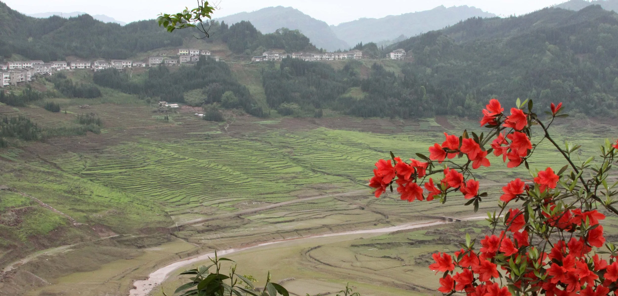 SICHUAN - COUNTRYSIDE NEAR WAWU SHAN - CHINA ALIVE 2011 (23).JPG