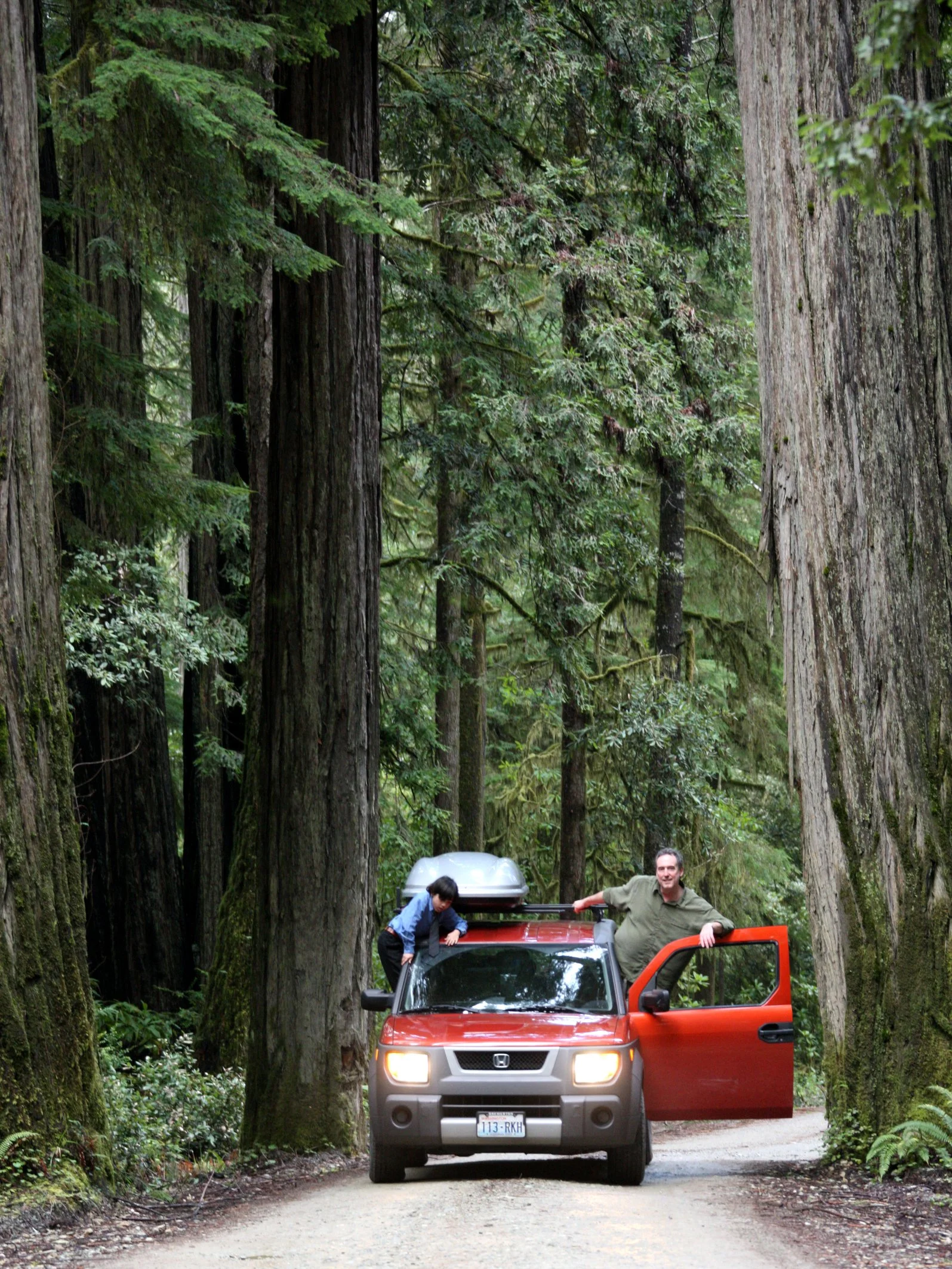 JEDIDIAH SMITH REDWOODS STATE PARK CALIFORNIA (6).JPG