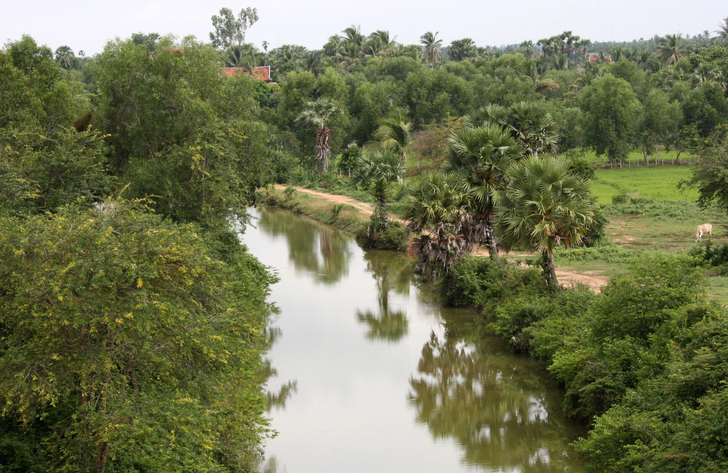 SIEM REAP CAMBODIA (24).JPG