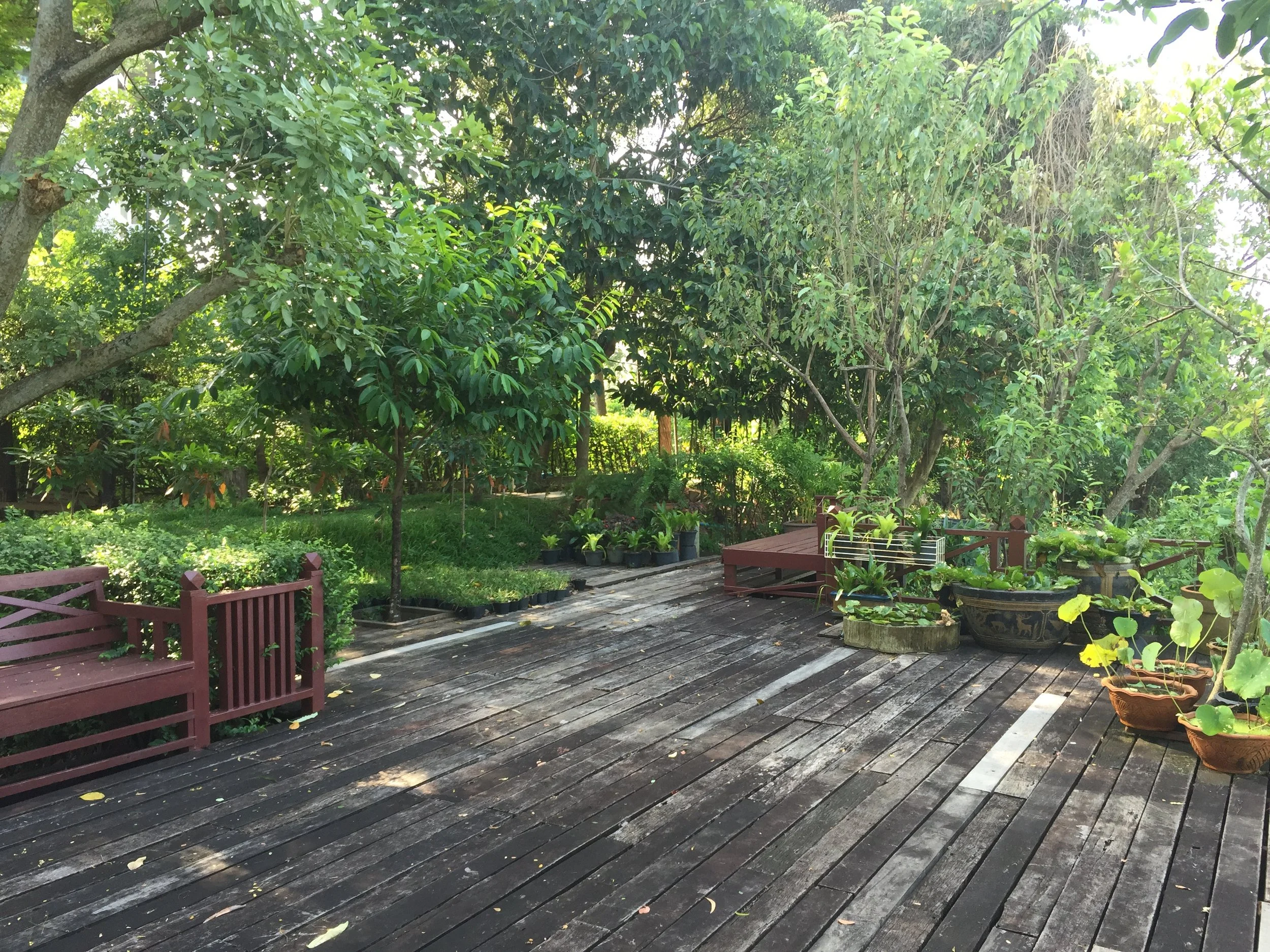 BKK - RIDE TO SUAN THIP PAKKRET FALL 2015 (11).JPG