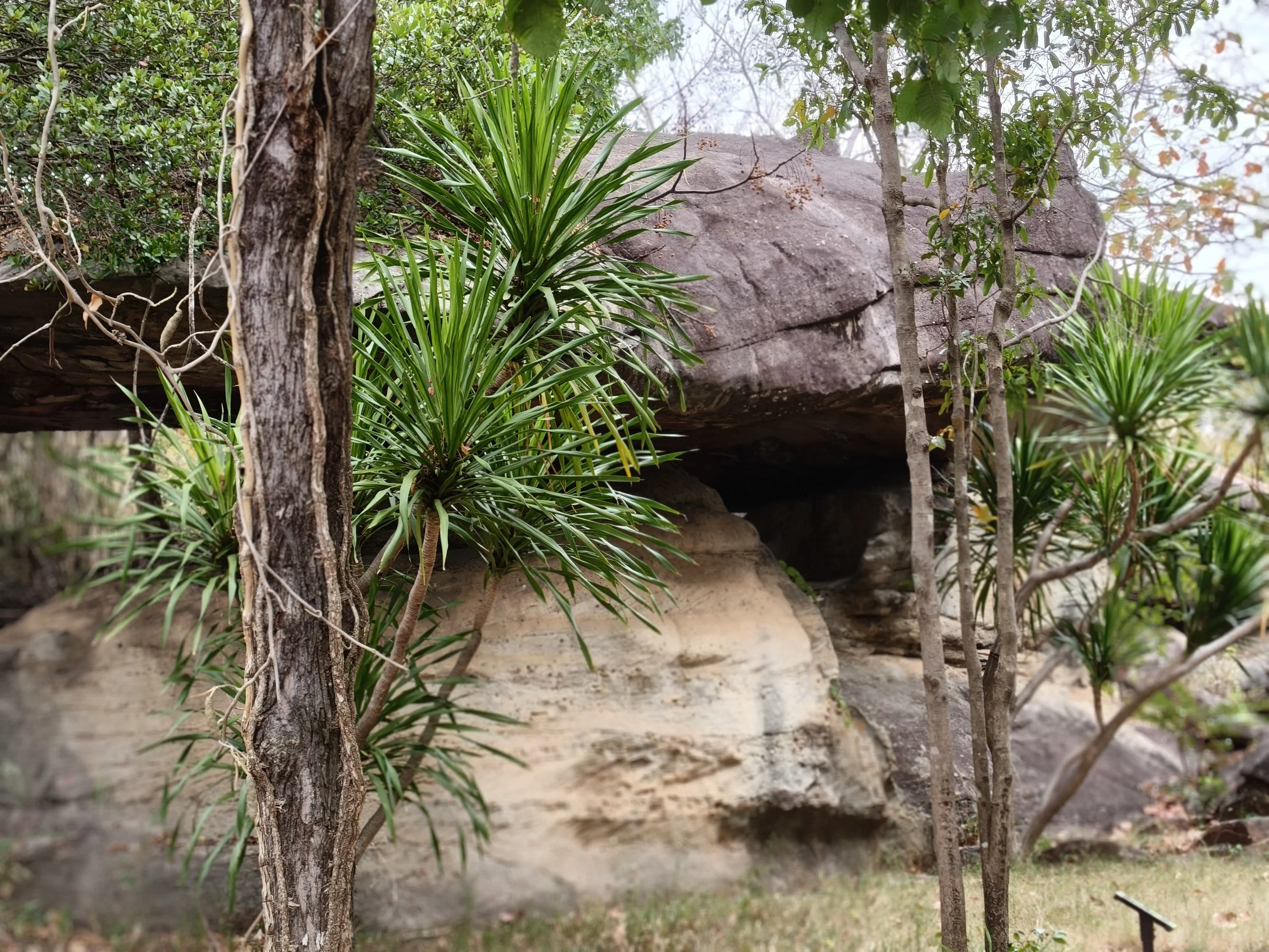 Phu Pha Thoep National Park - Mukdahan Thailand (10).jpg
