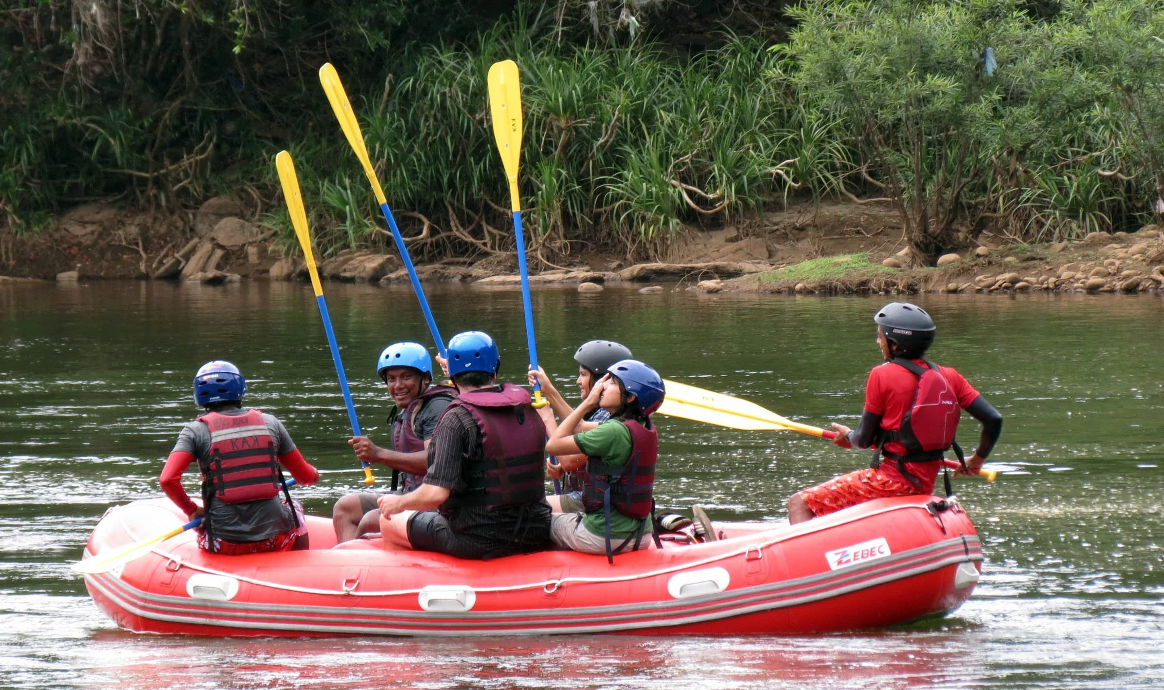 KITULGALA FOREST PRESERVE SRI LANKA (86).JPG