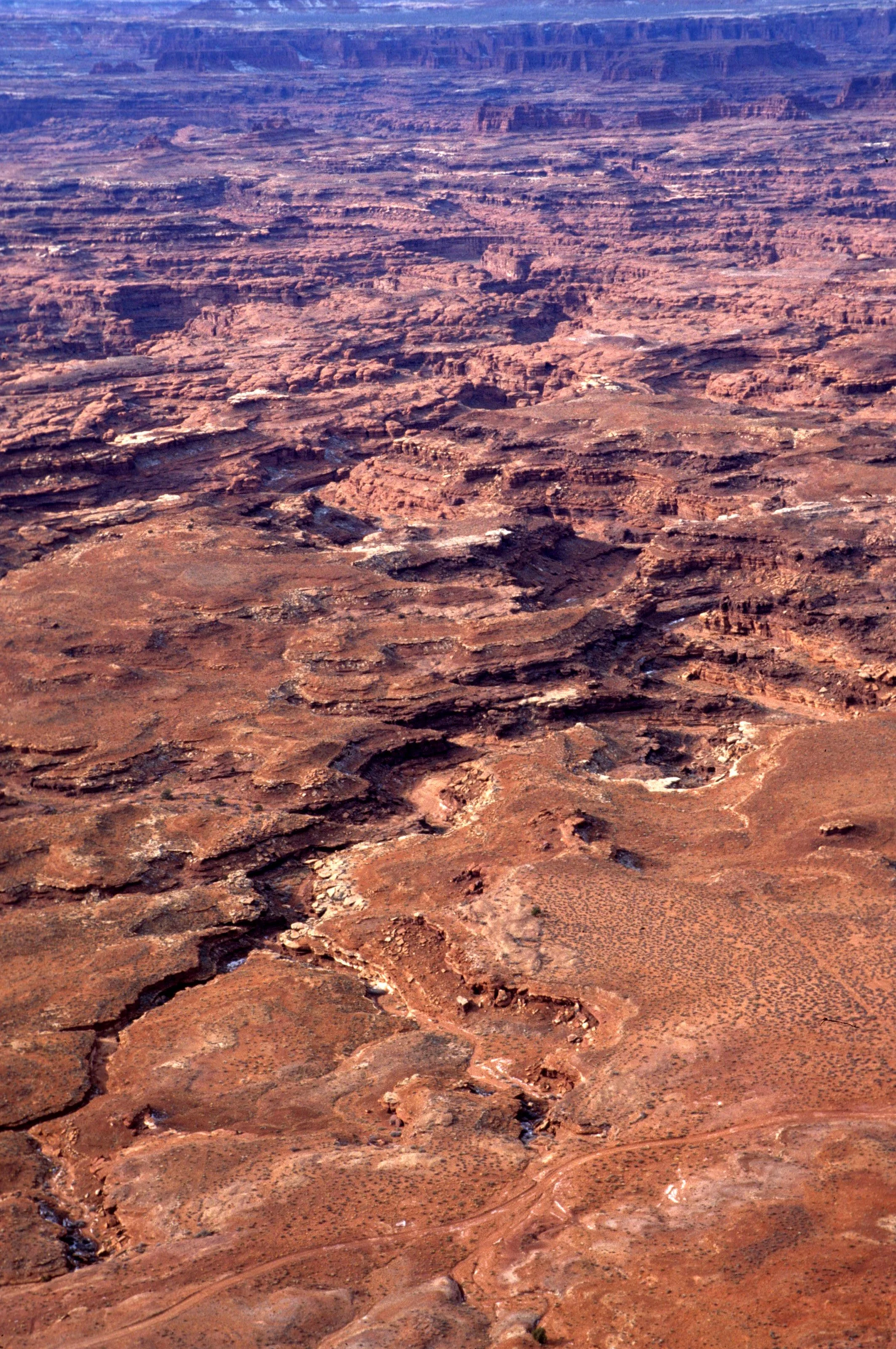 UTAH - CANYONLANDS NP CC.jpg