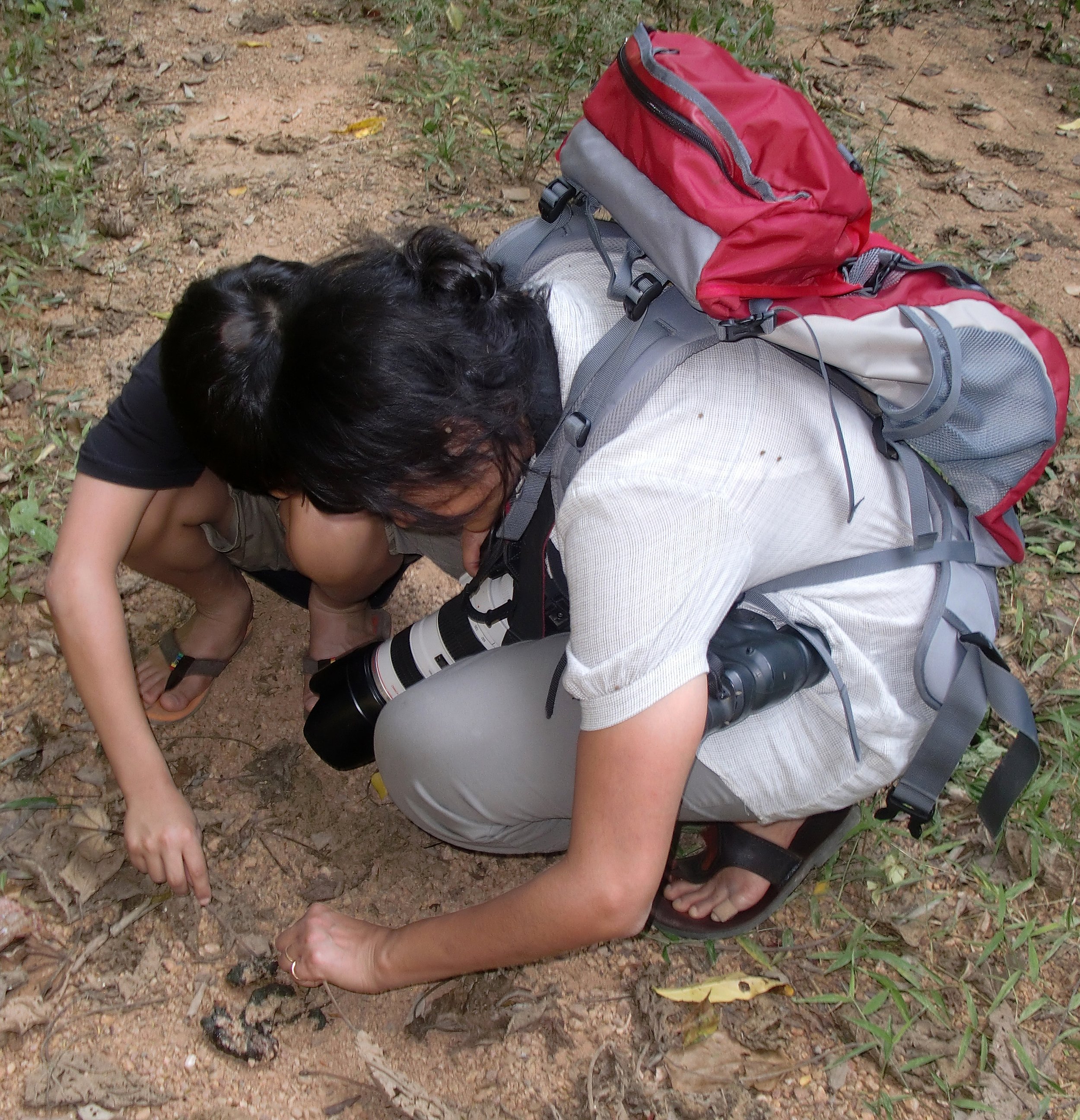 2008 Kaeng Krachan NP Trip with Cokie & Som (16).JPG