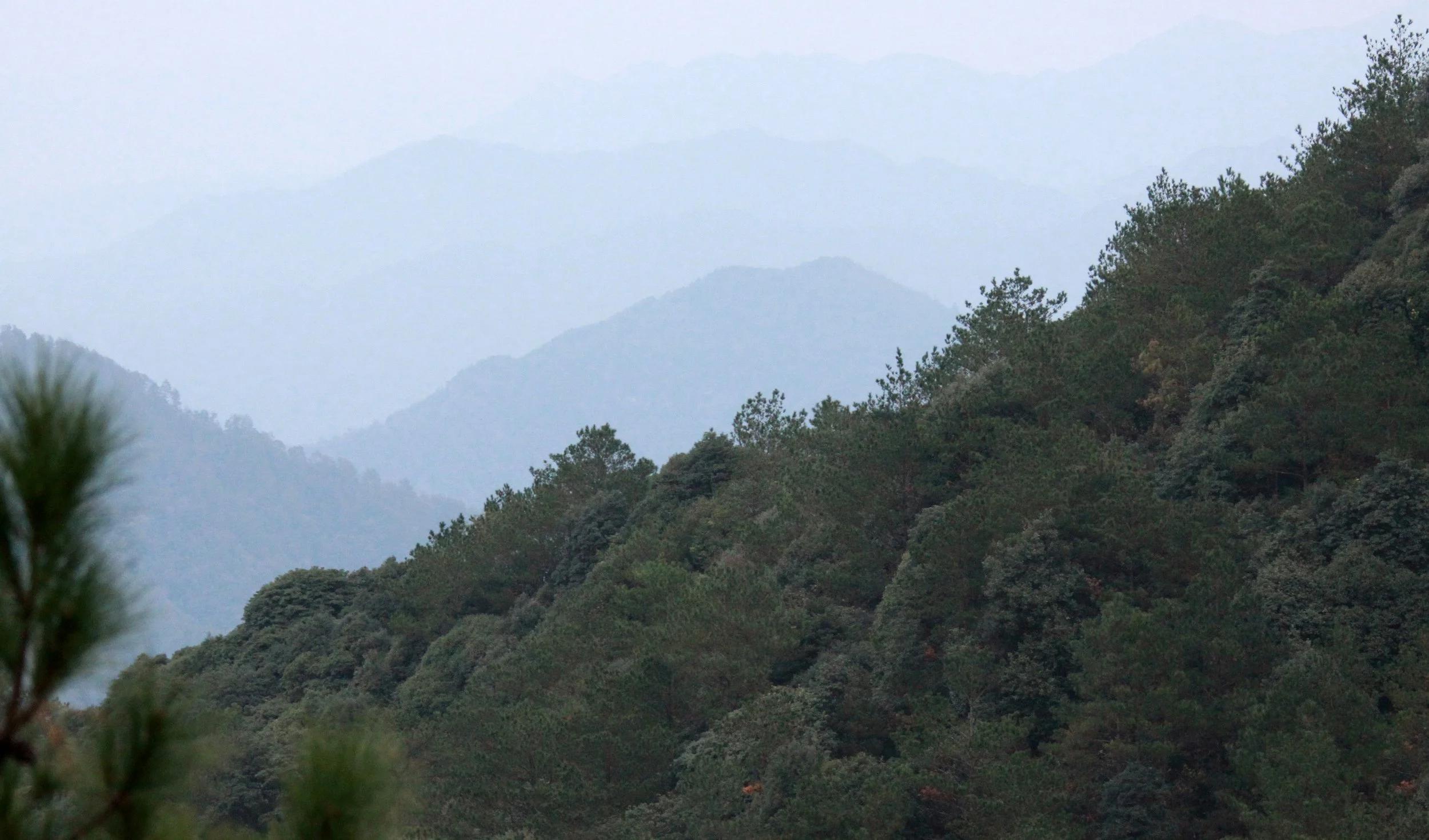 MEIHUASHAN - FUJIAN CHINA (36).JPG