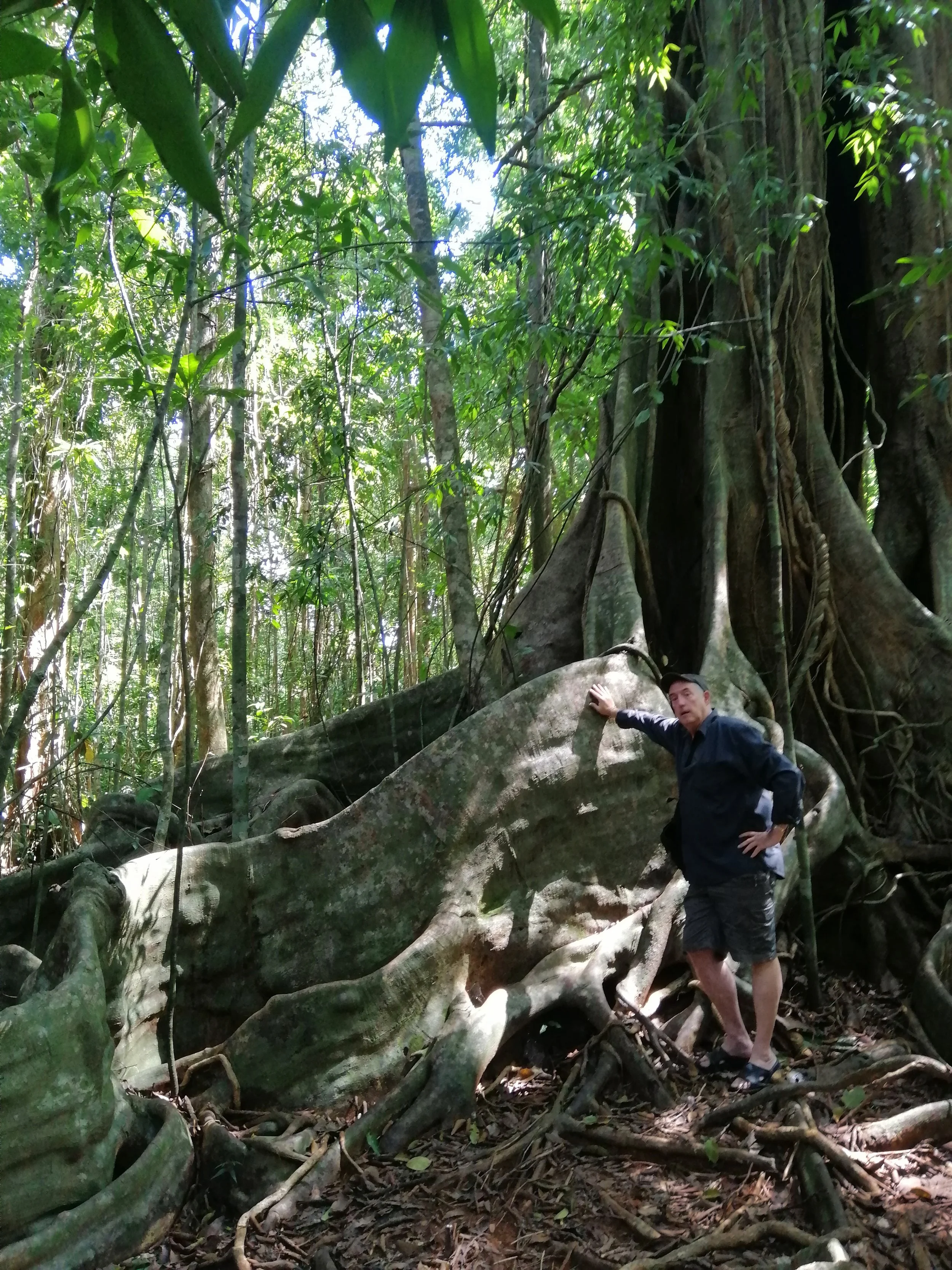 2019 Koh Kood Road Trip (43).jpg
