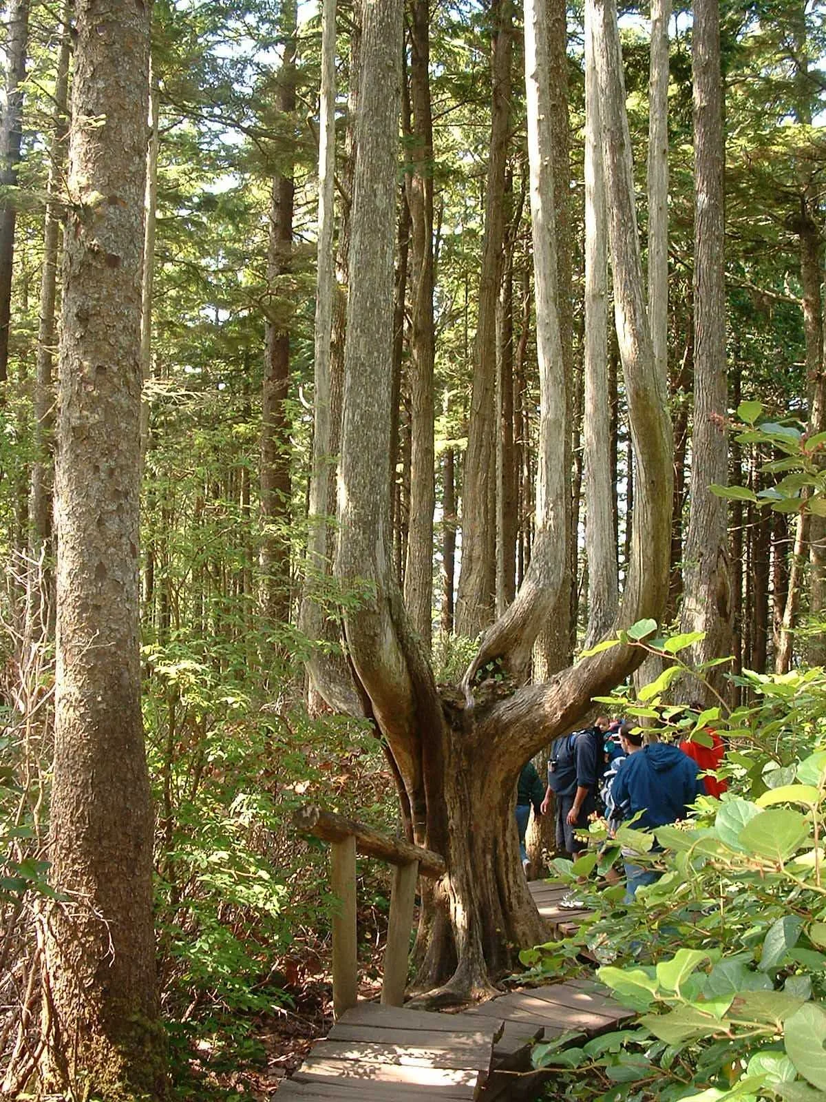 2003-8-1 WASHINGTON VISIT FROM ROBINSONS ET AL (71).JPG