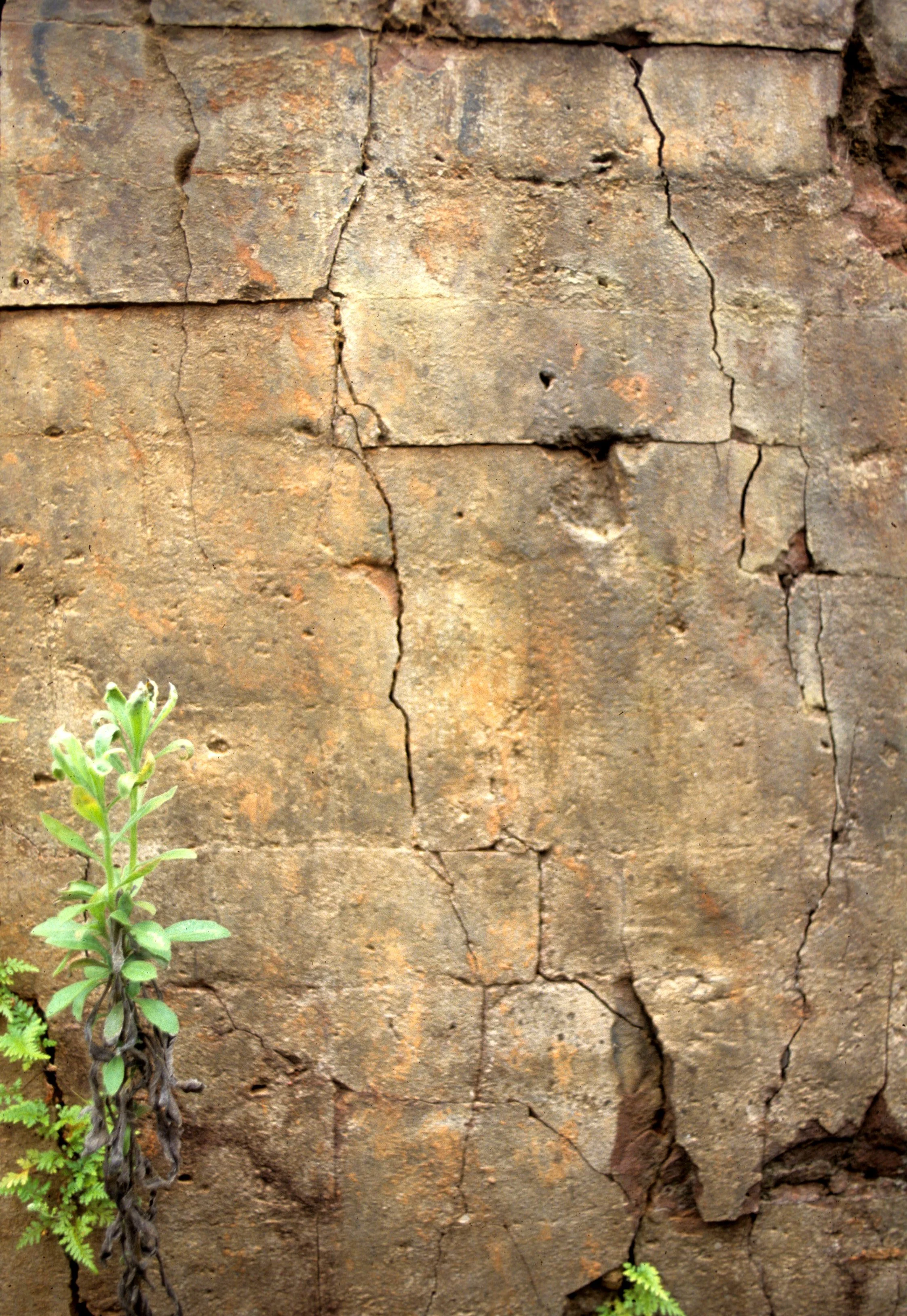 VIET NAM - MY SON RUINS.jpg